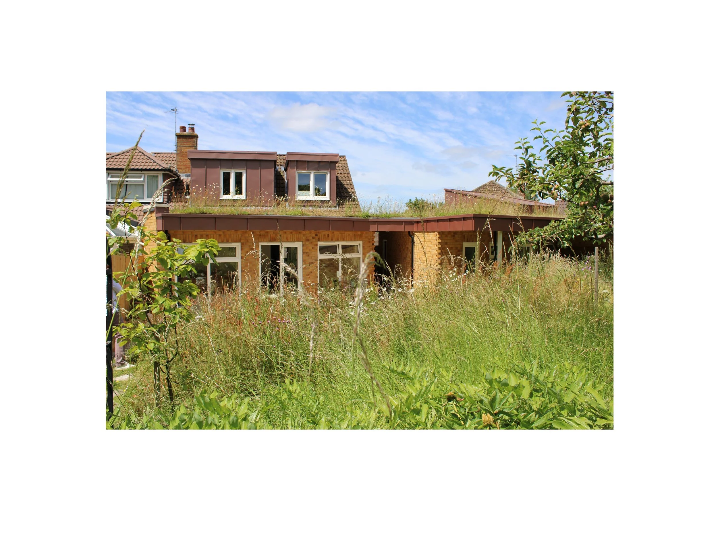 Formatted image 7.jpg