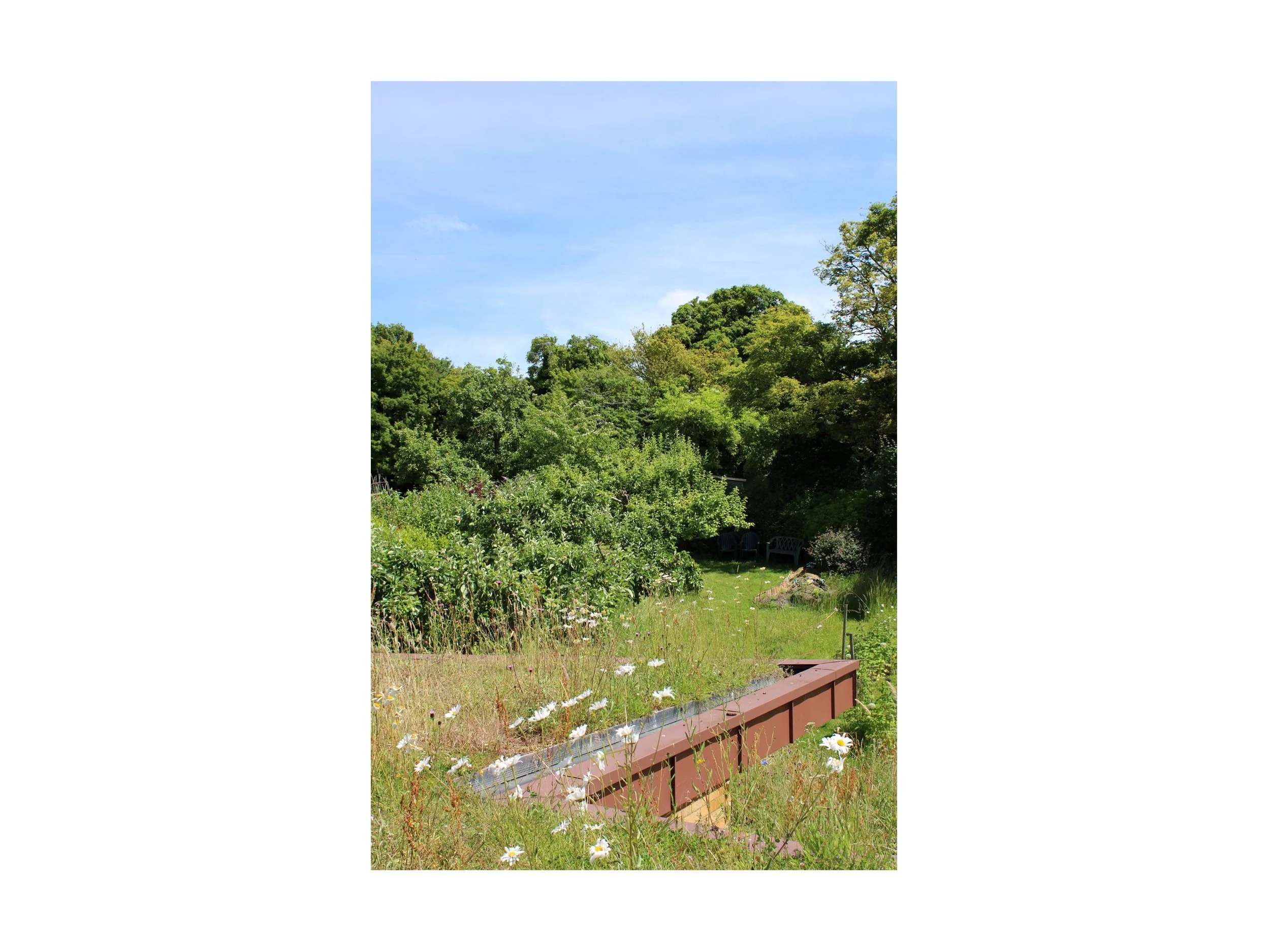 Formatted image 11.jpg