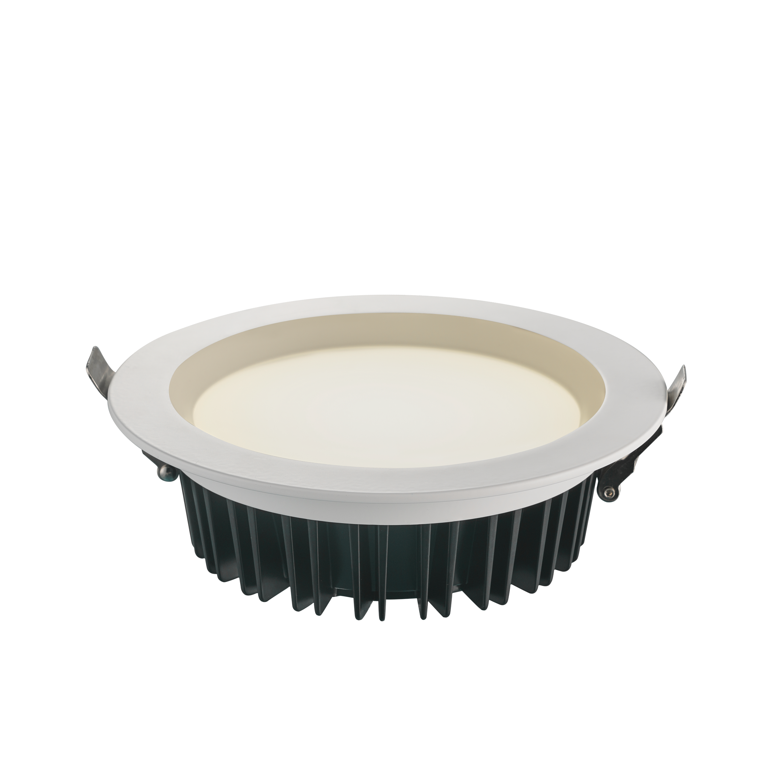 30W Downlight