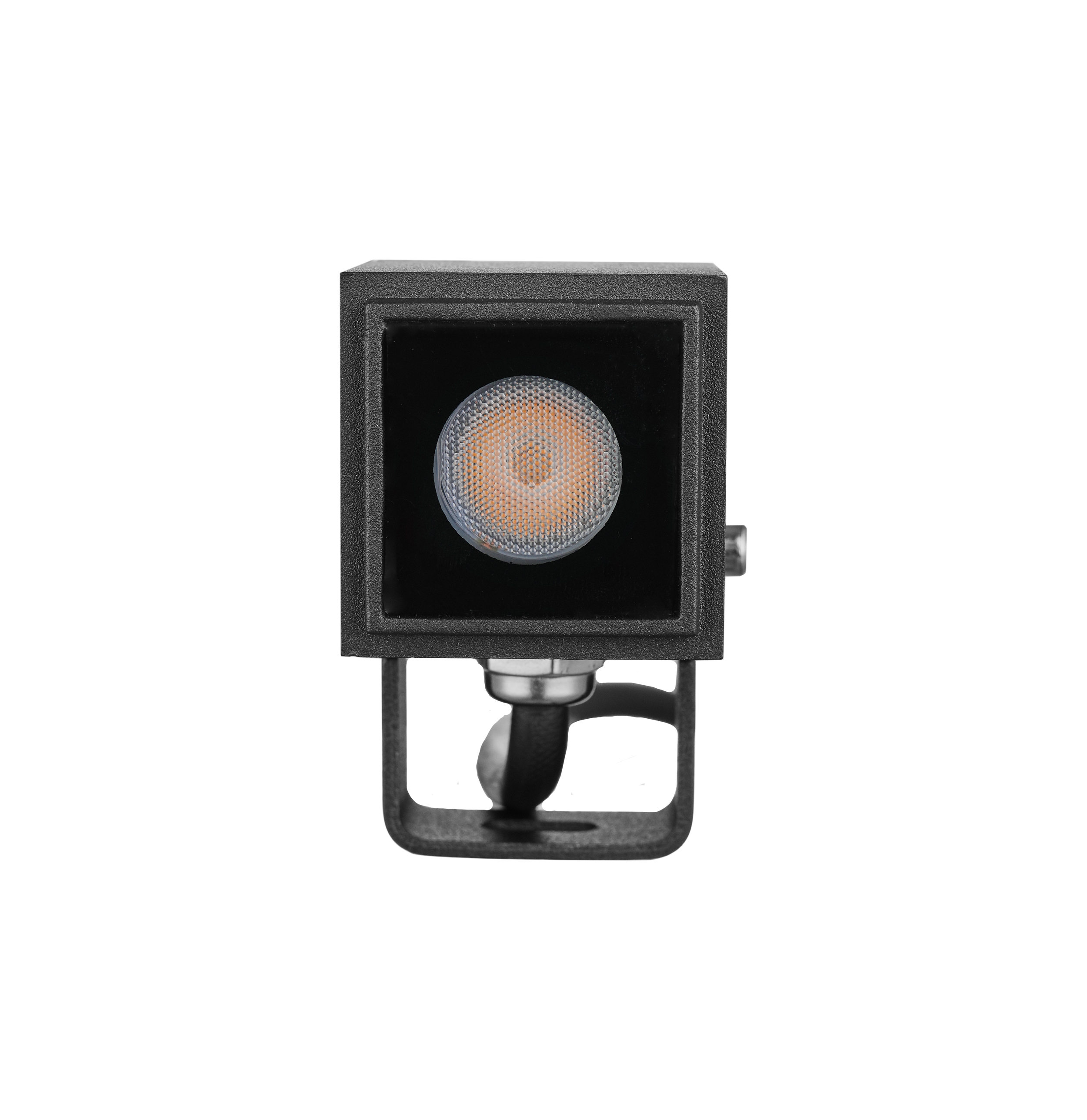 2W Flood Light