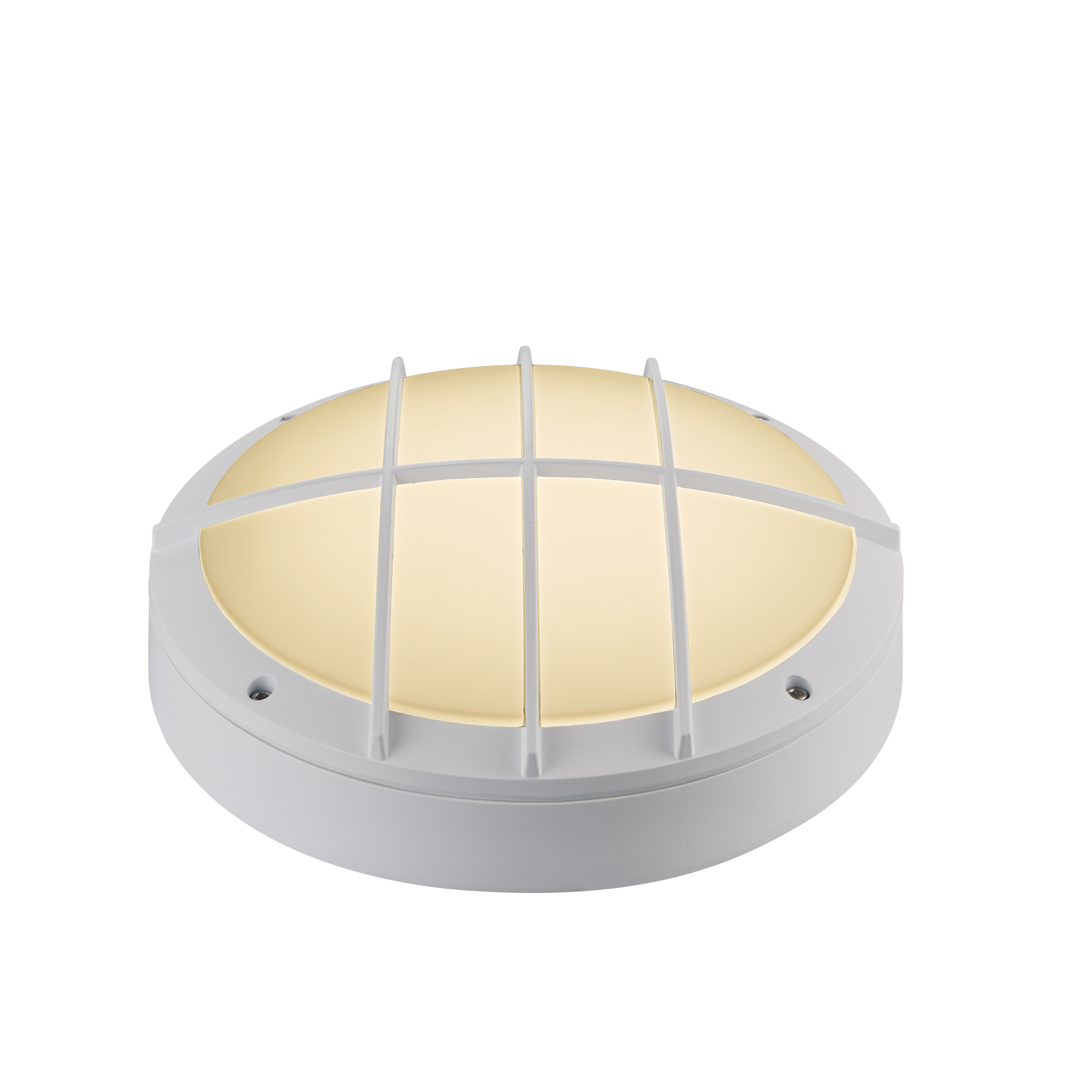 15W Wall Light