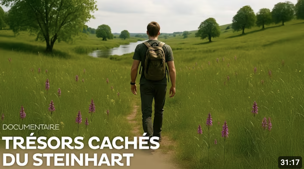 Les orchidées du Steinhart - Documentaire court