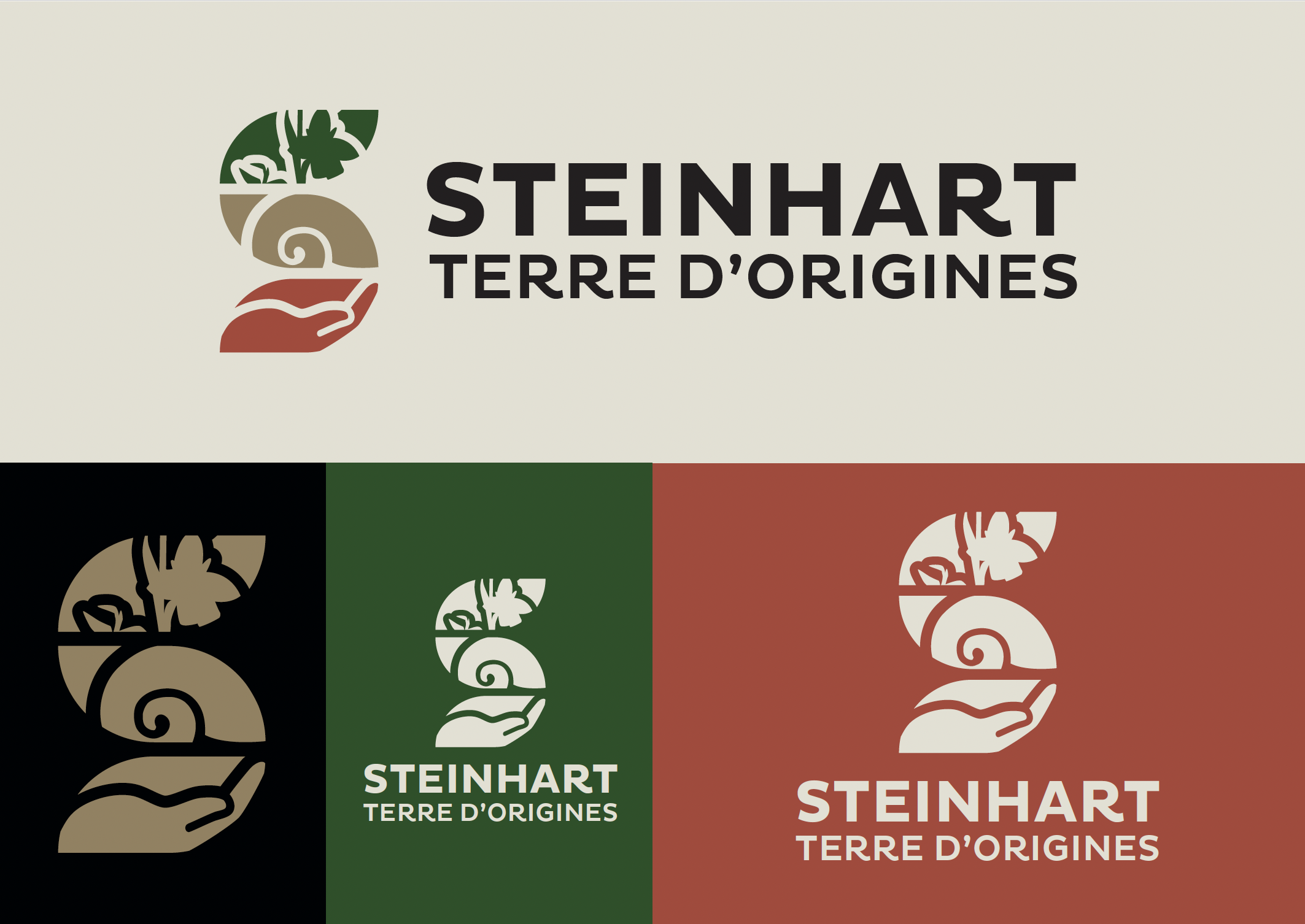 declinaison steinhart terre origines trax production.png