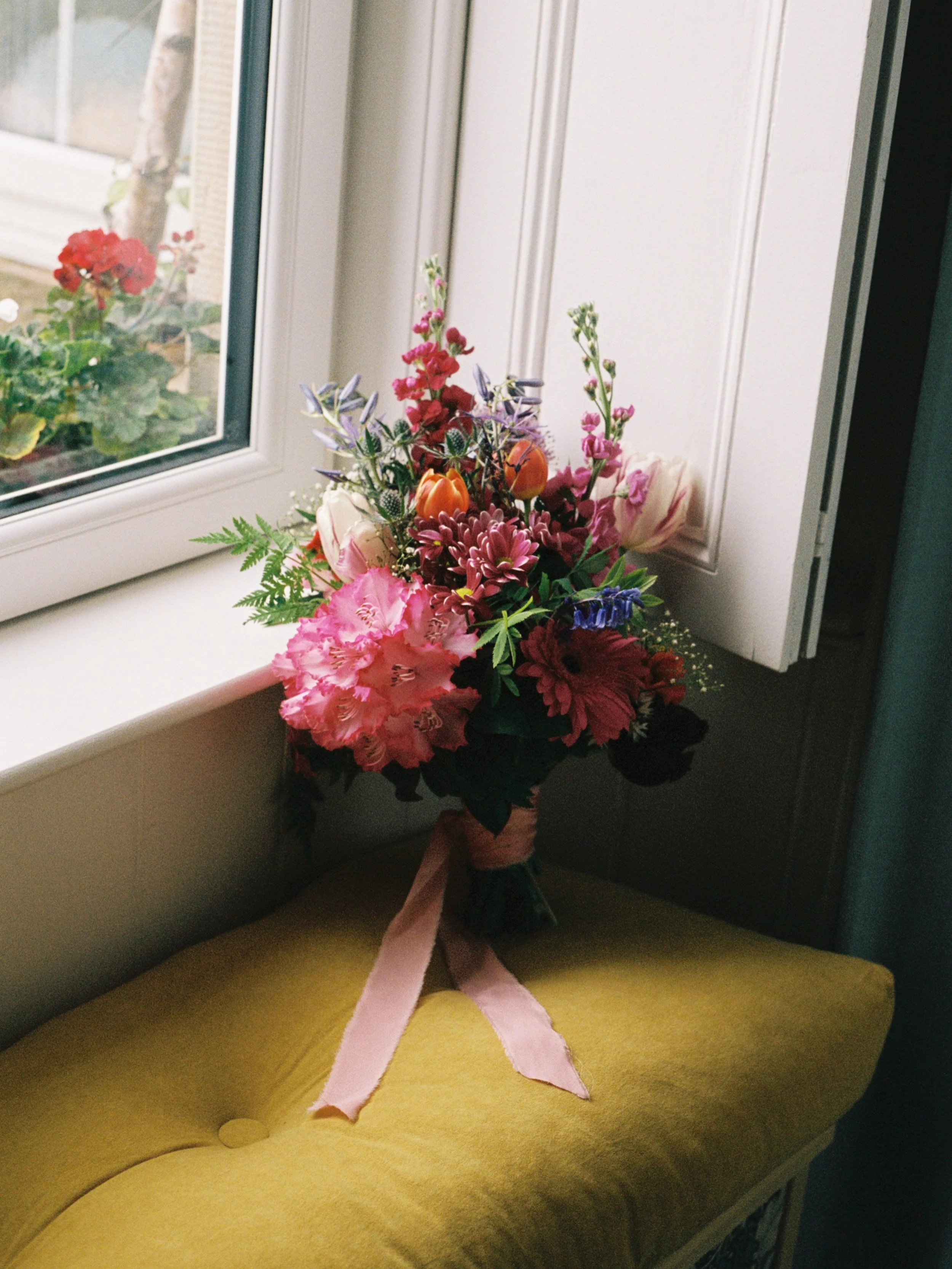 A few 35mm film frames for Rowen &amp; her girls 🌸 @kinkell_byre