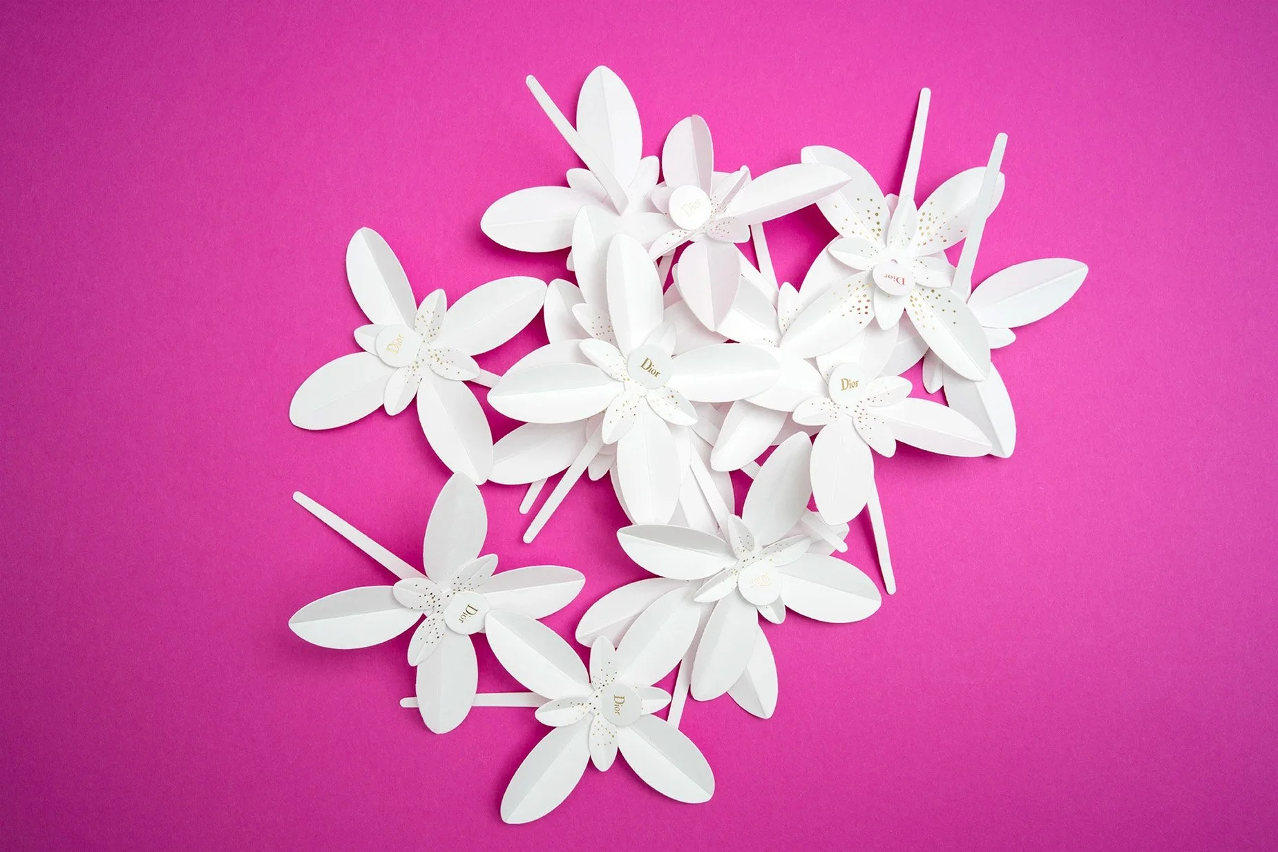 Les Petites Mouillettes