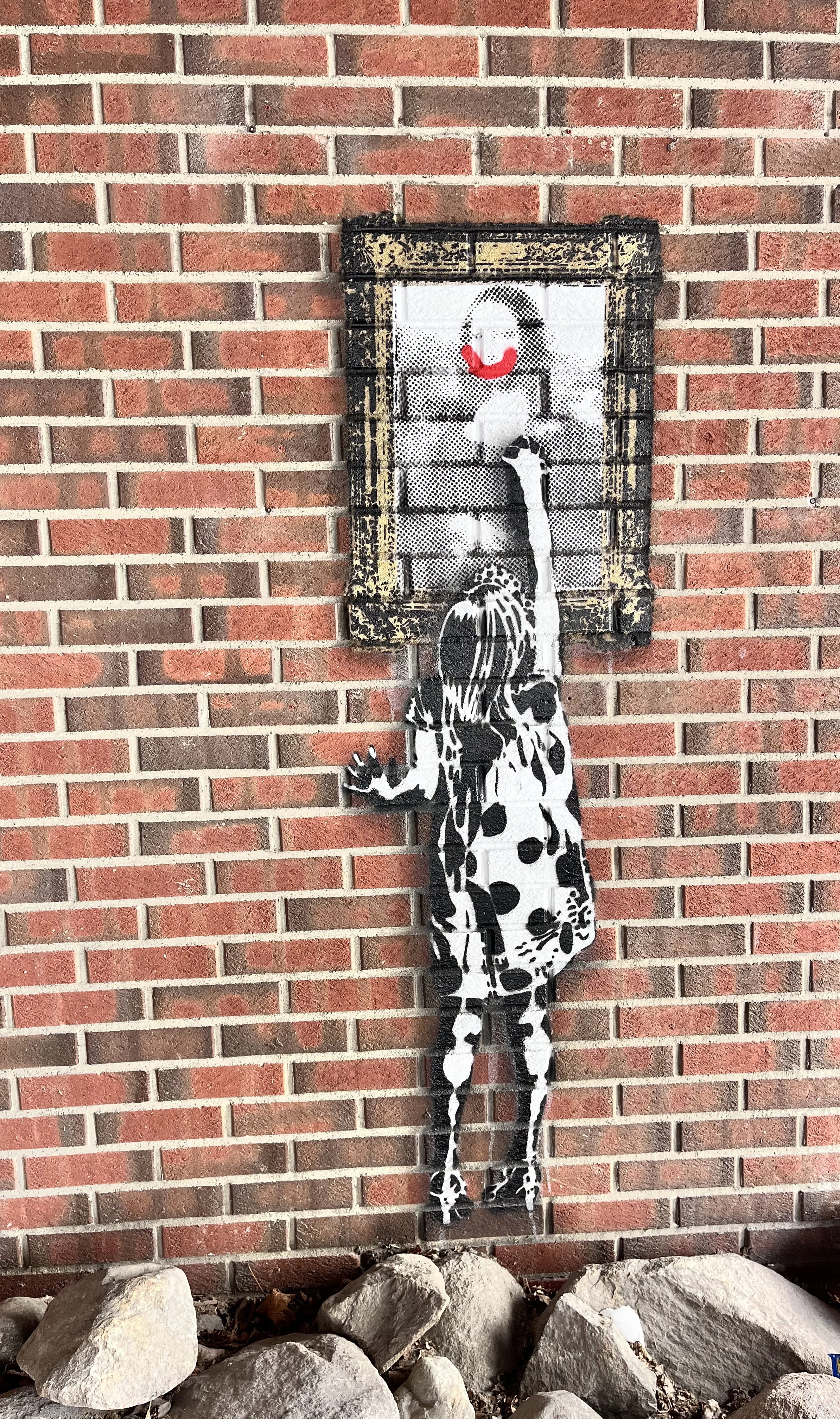 IMG_3365.jpeg