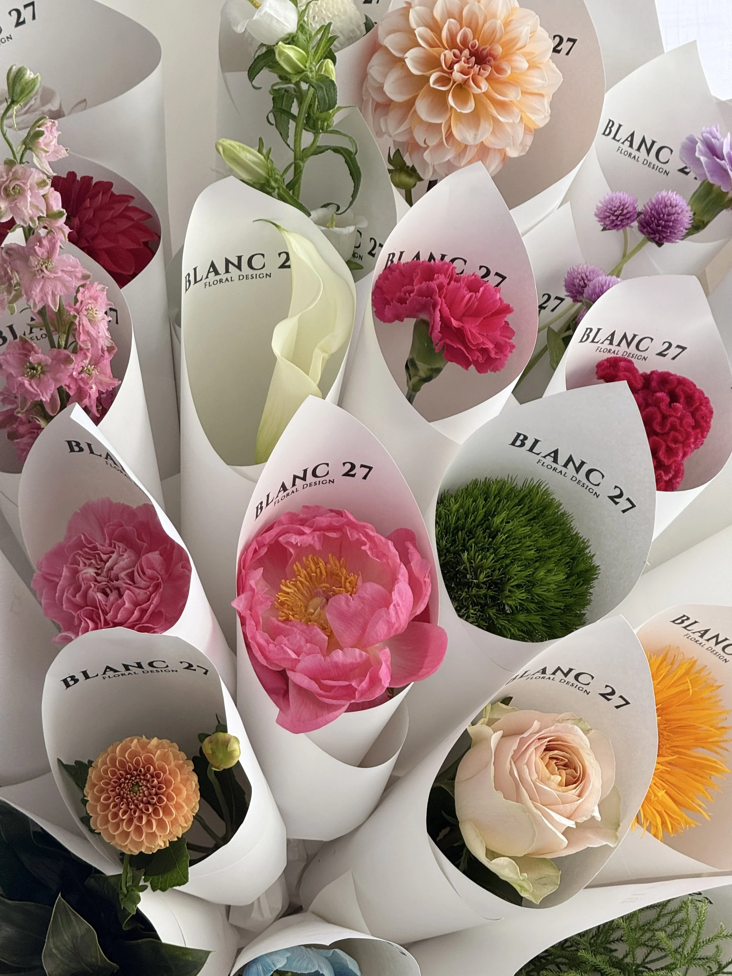 FullSizeRender 118.JPG