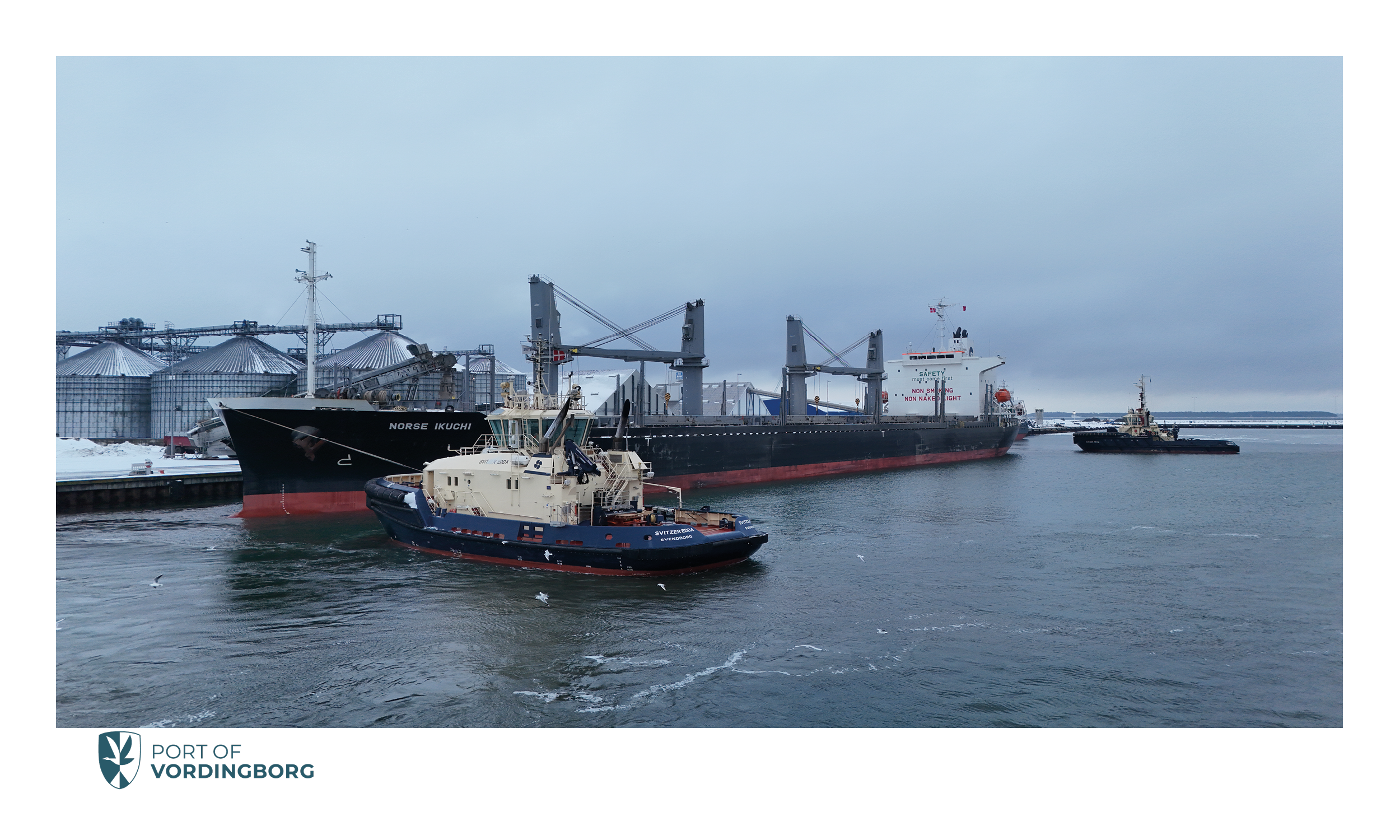 2026.02.09 - 2026.02.11 Norse Ikuchi3.png