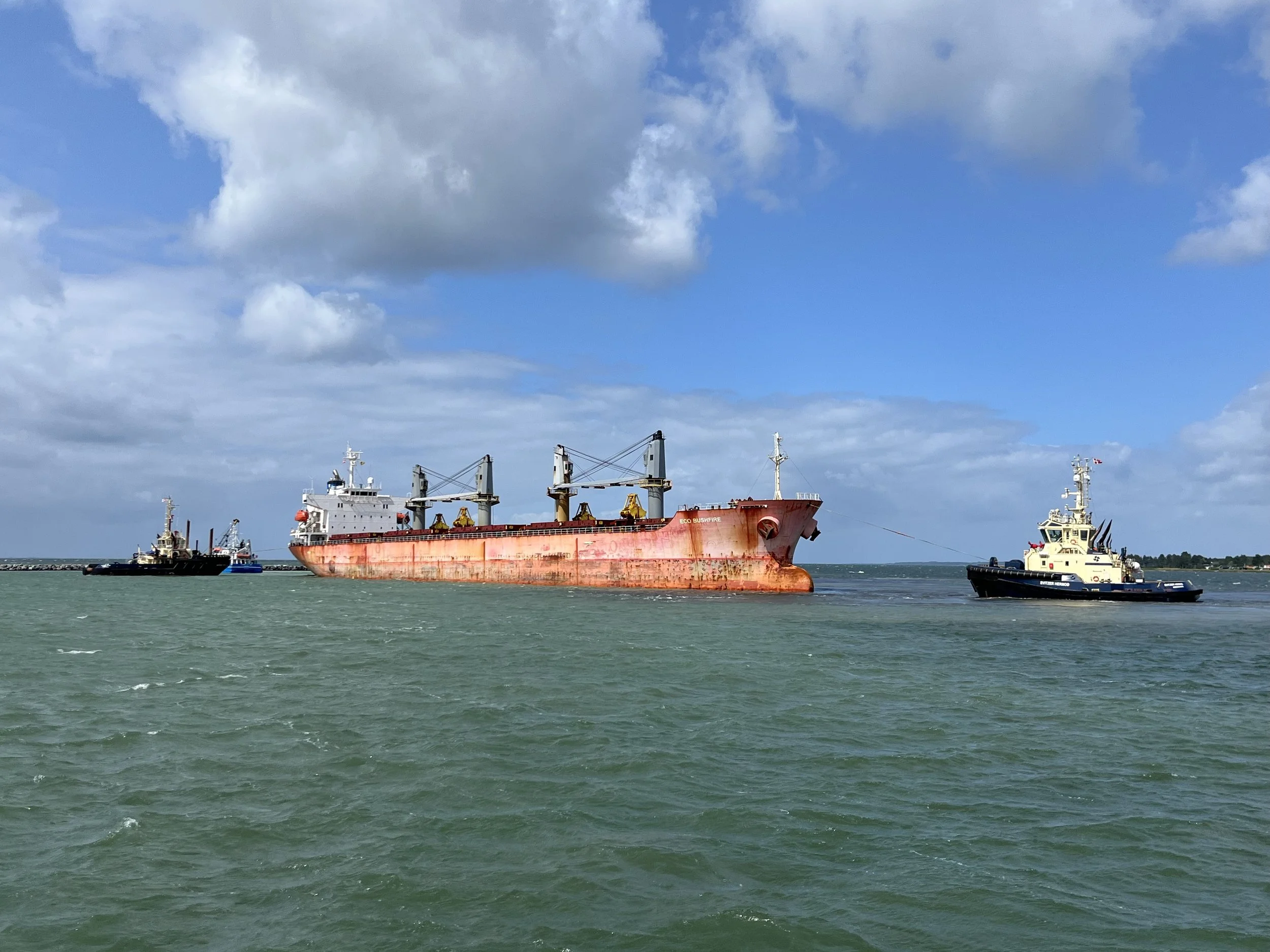 2025.08.05 - Eco Bushfire (Intern) 4.jpeg