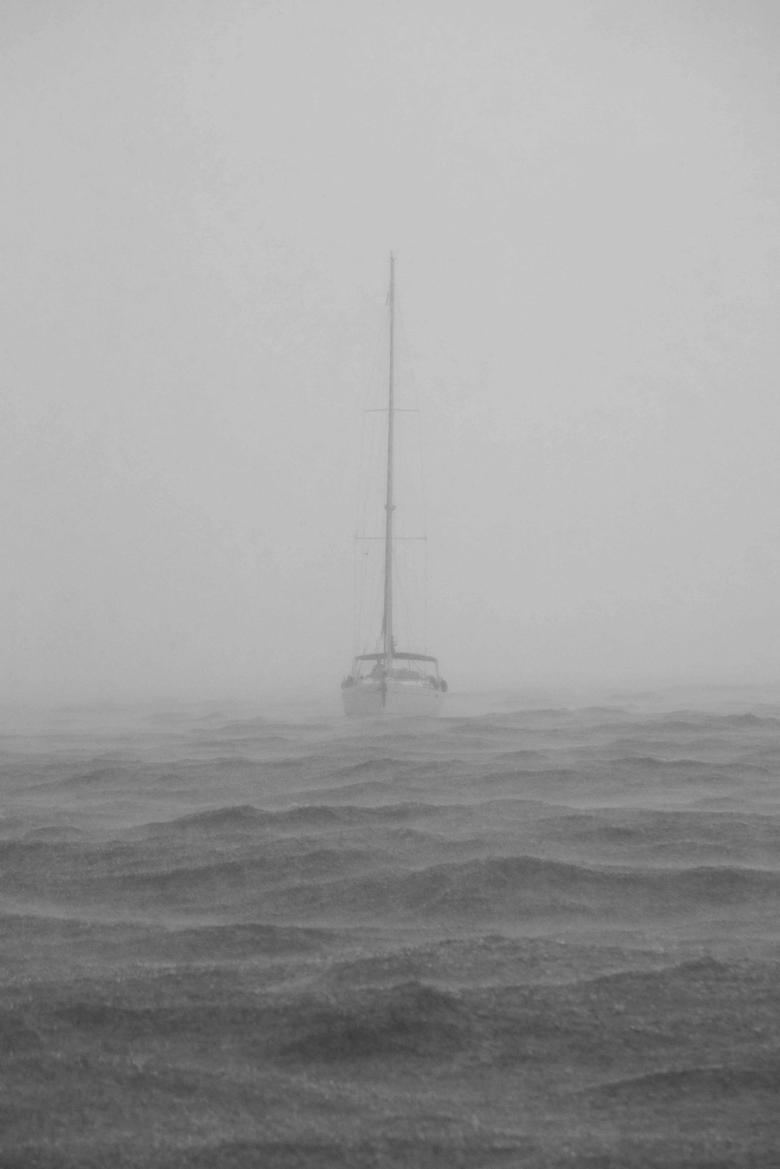 DSC00213.jpg