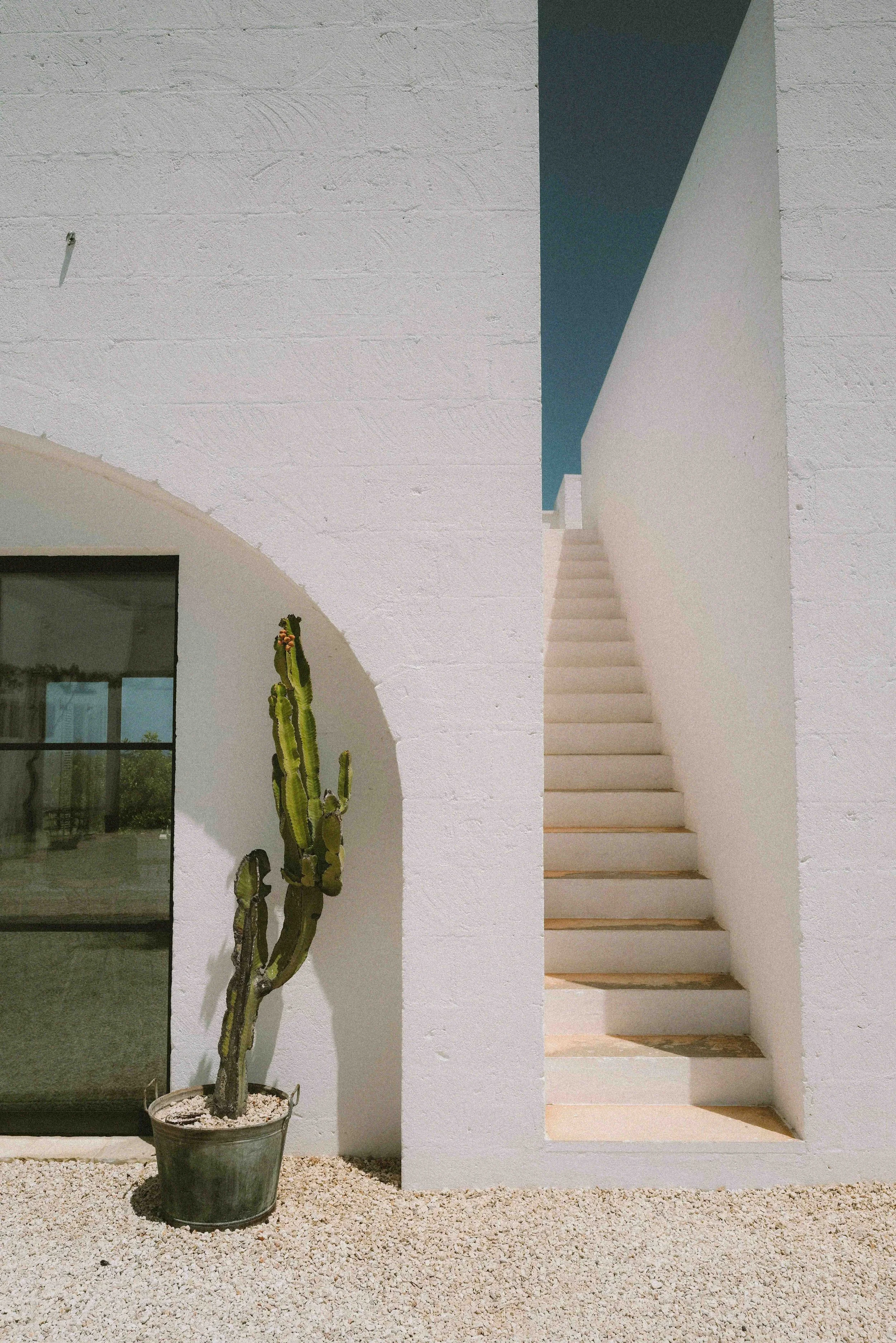 DO01020187.jpg