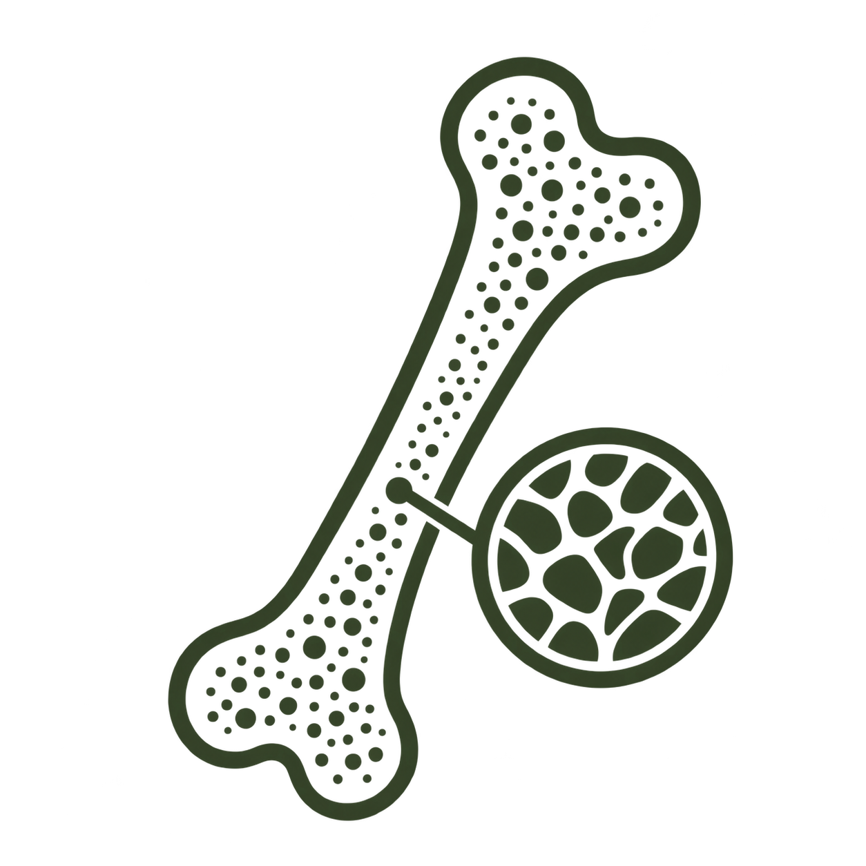 Illustration of a dog bone with a magnifying glass showing a close-up of the bone's porous inner structure.