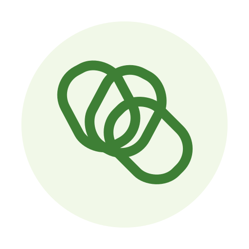 Ilustração de duas argolas Digerid, uma menor dentro de uma maior, de cor verde, sobre fundo branco.