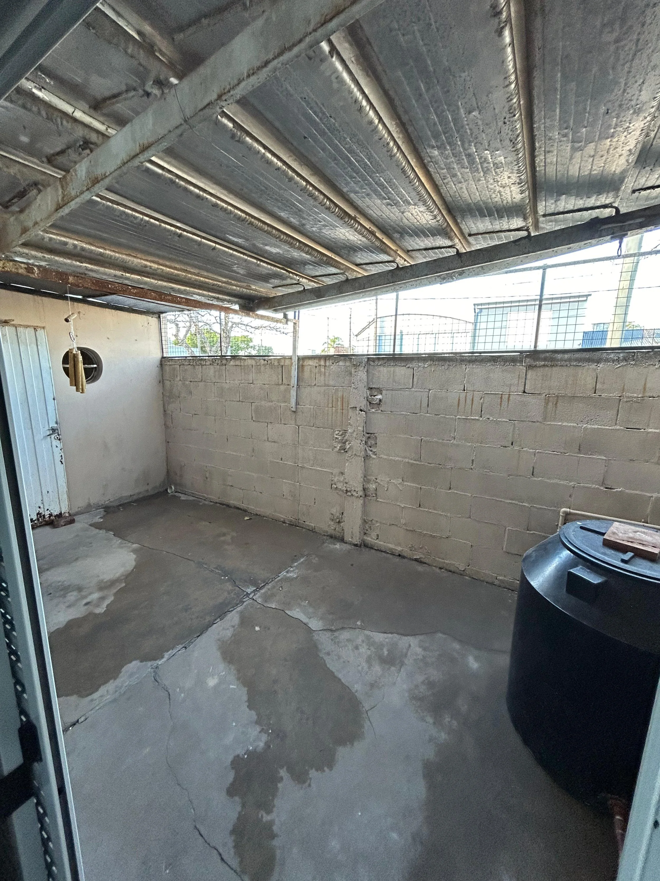 WhatsApp Image 2024-05-31 at 16.13.53 (1).jpeg