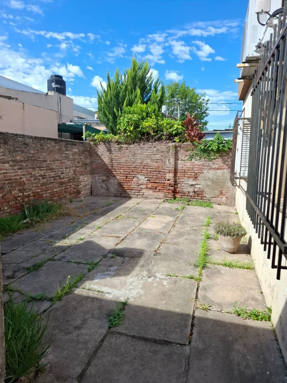 WhatsApp Image 2026-03-05 at 11.17.27.jpeg