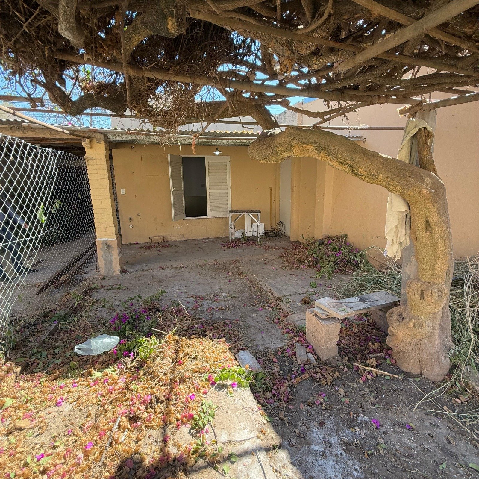 WhatsApp Image 2025-12-15 at 09.17.23.jpeg