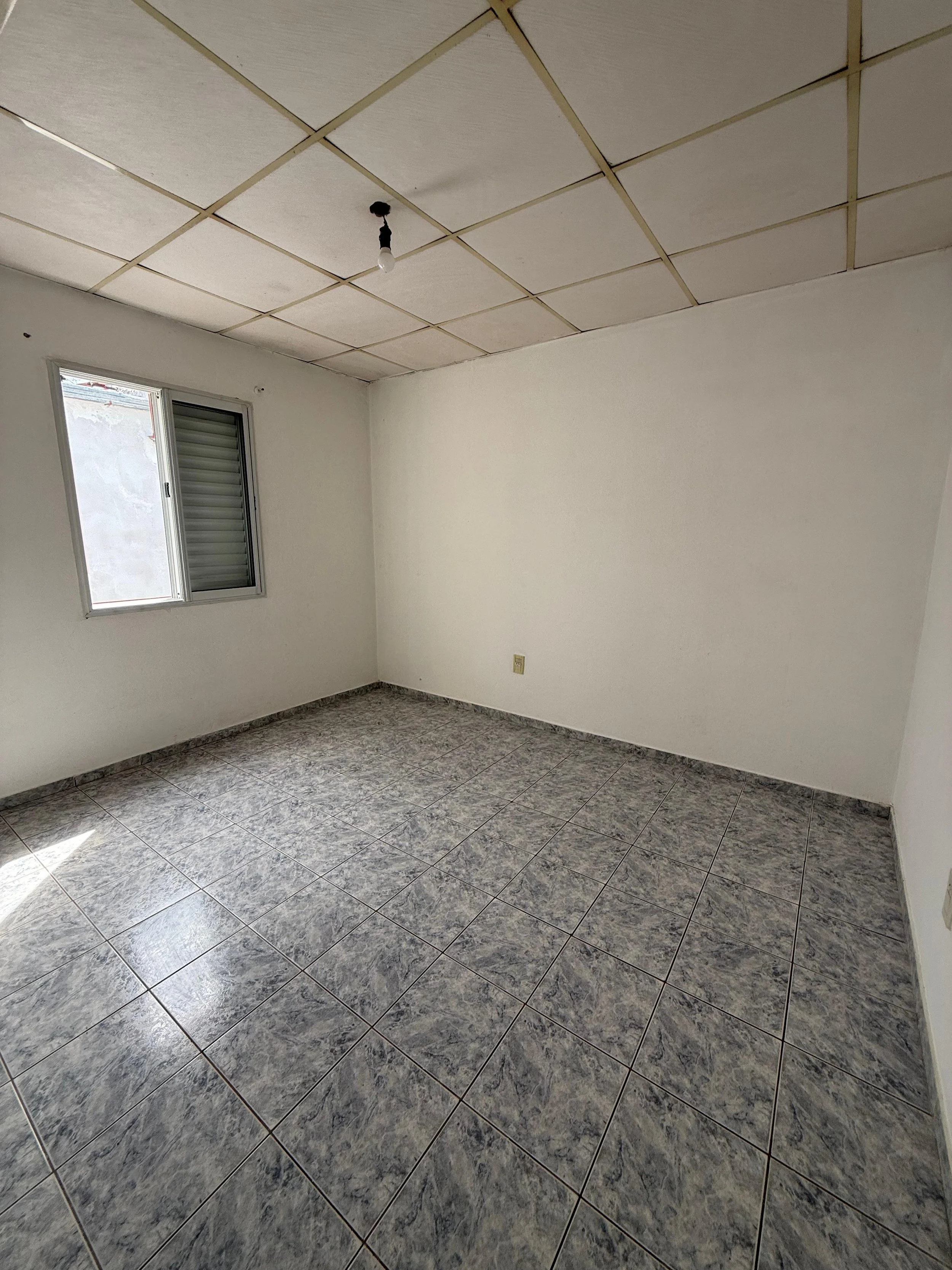 WhatsApp Image 2026-03-05 at 12.08.40 (5).jpeg