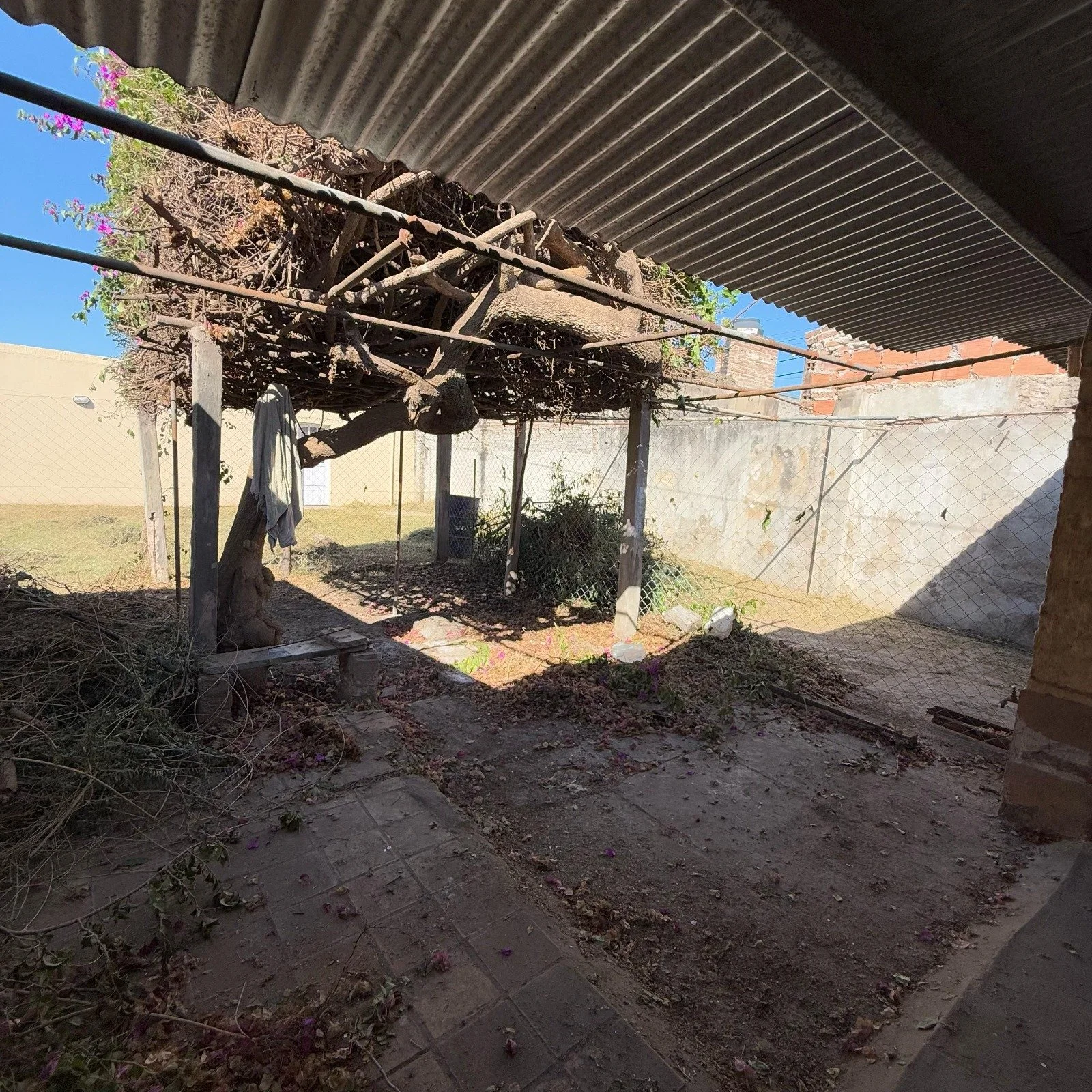 WhatsApp Image 2025-12-15 at 09.17.22 (3).jpeg