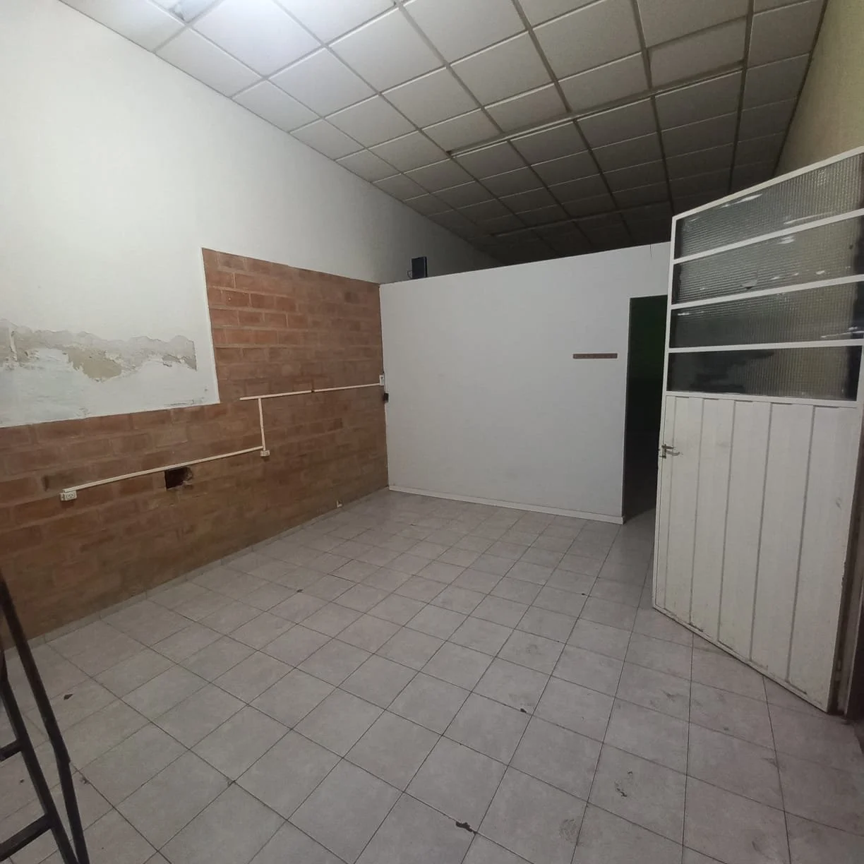 WhatsApp Image 2026-03-03 at 15.32.47.jpeg