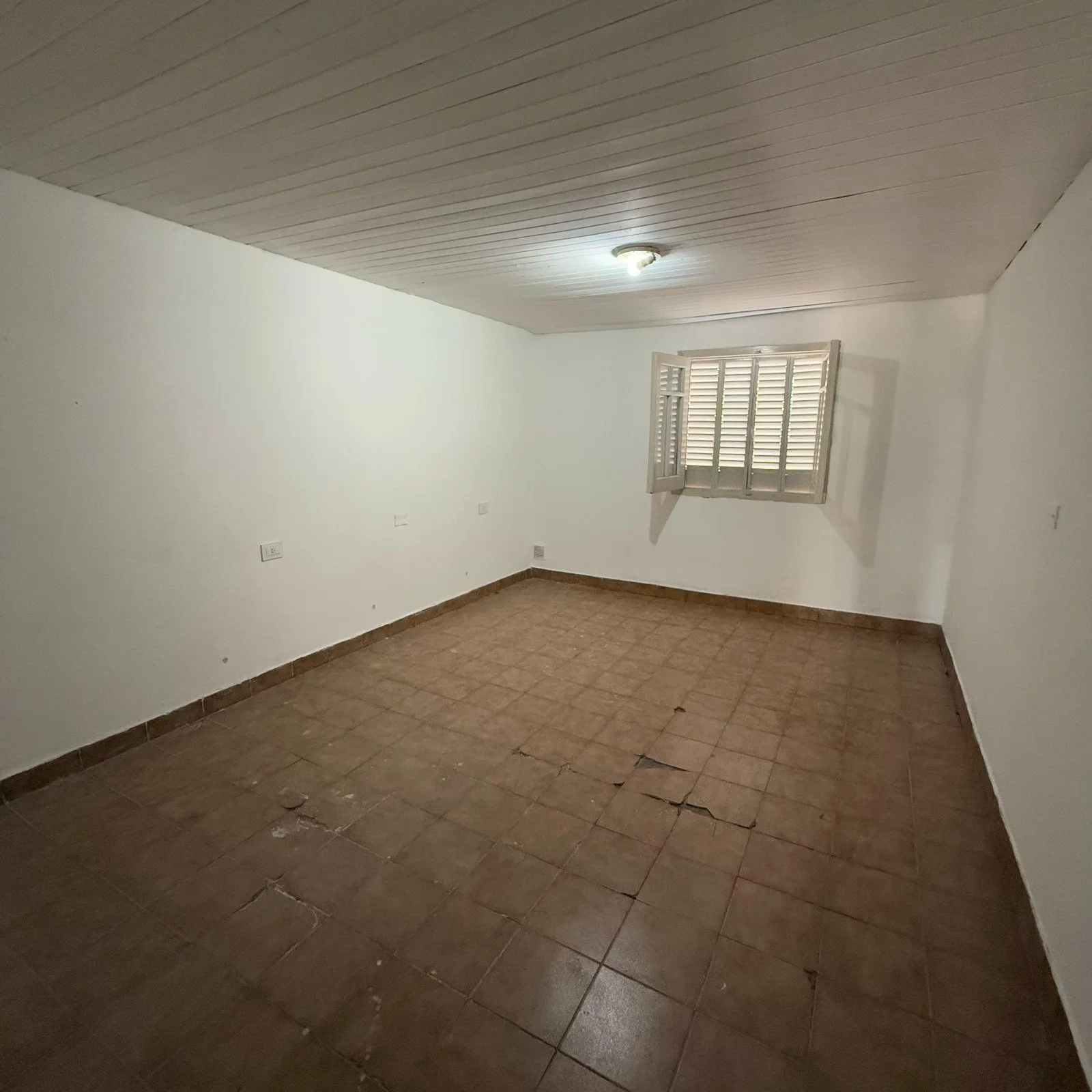 WhatsApp Image 2025-12-15 at 09.17.21.jpeg