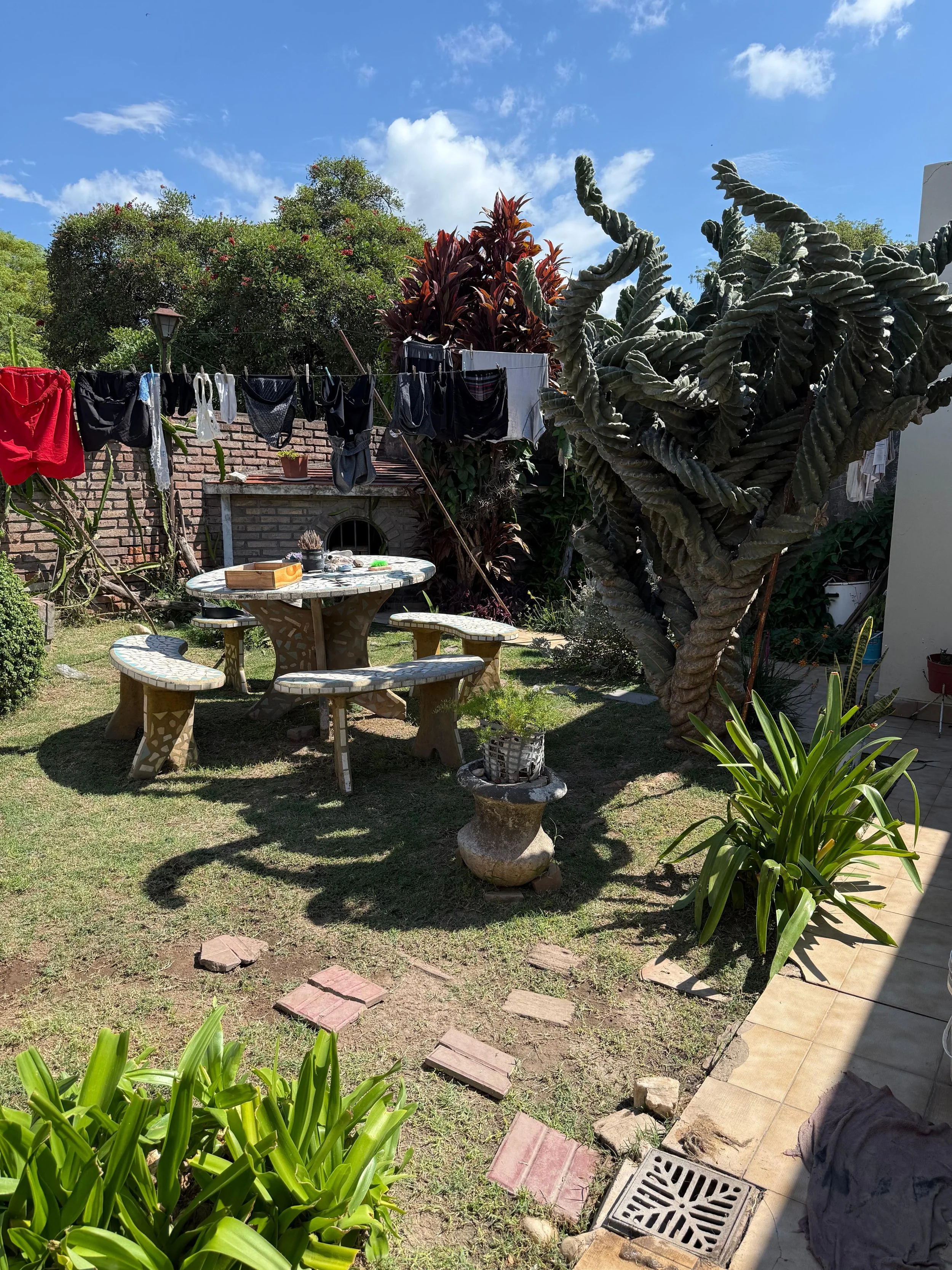 WhatsApp Image 2026-03-25 at 10.17.30 (29).jpeg