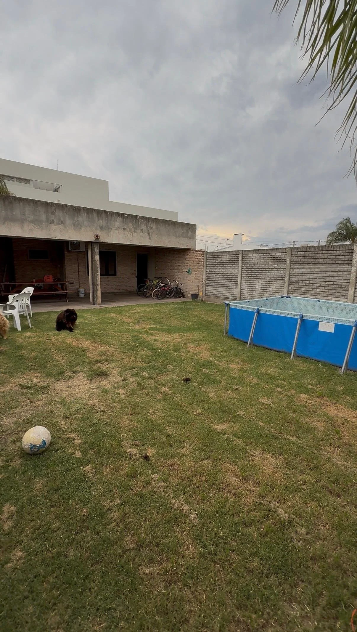 WhatsApp Image 2025-12-02 at 10.38.55 (12).jpeg