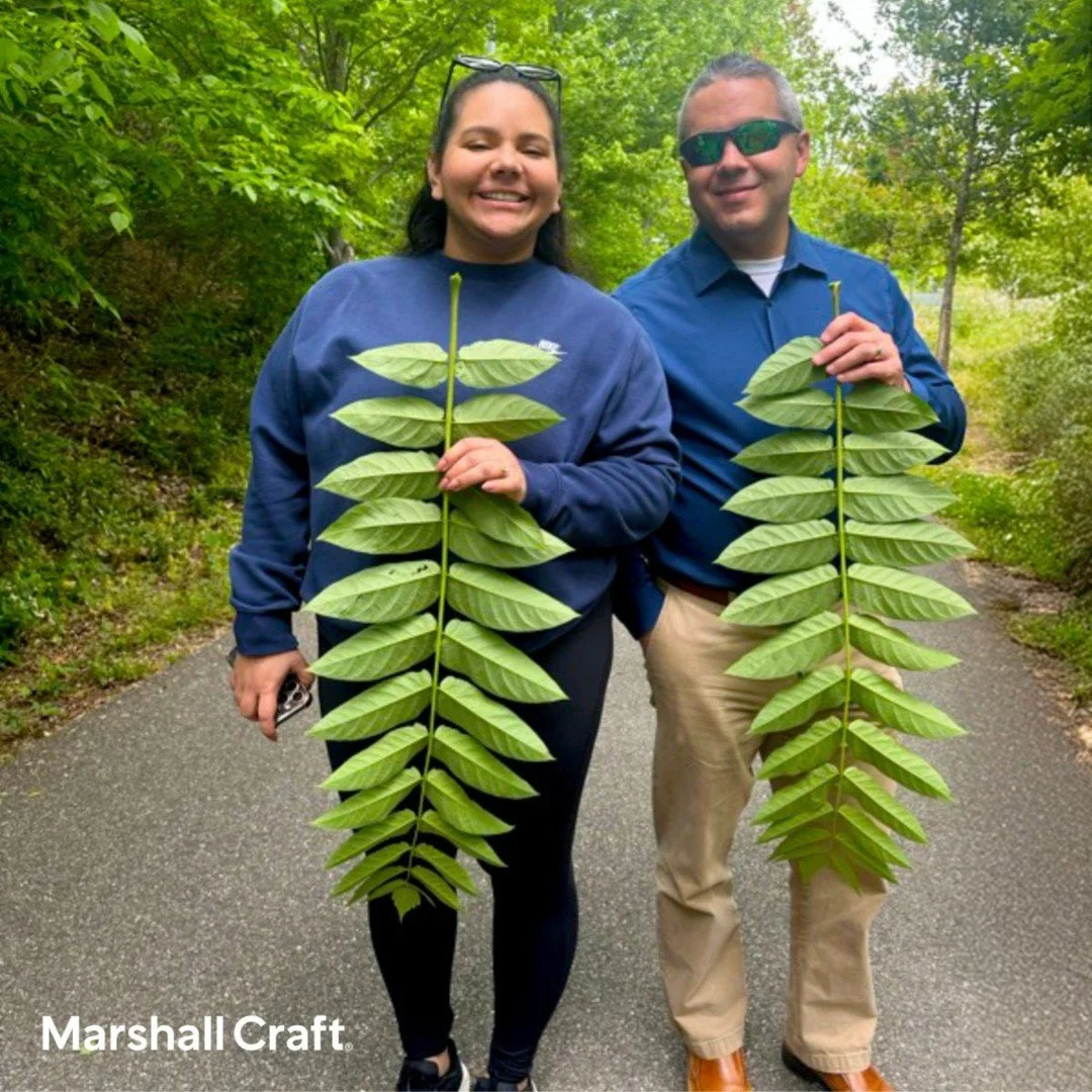 This #EarthActionDay, our Baltimore and Richmond offices came together for another week of hands-on action and reflection, organized by our Sustainability Committee. In Baltimore, volunteers cleaned up the Jones Falls stream that runs through our off