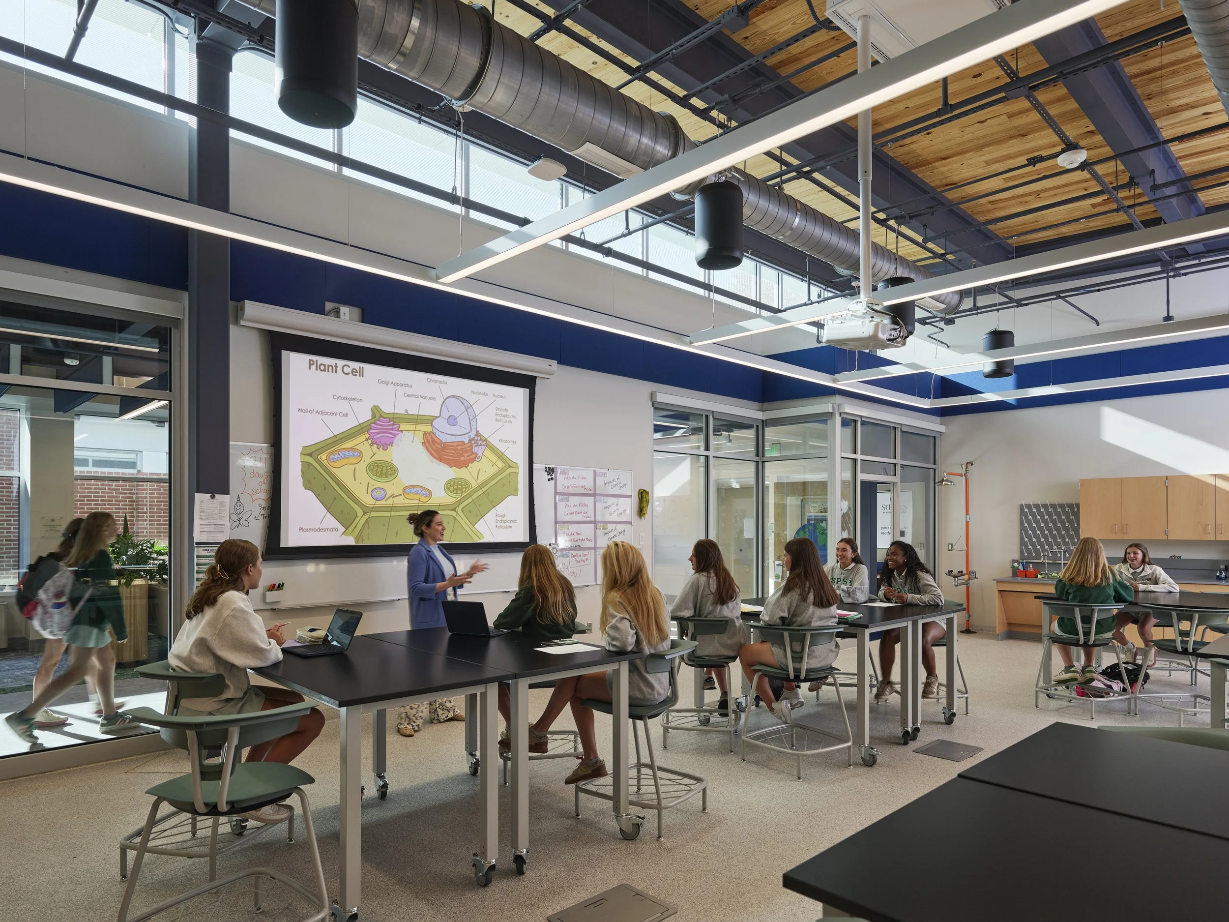 SPSG STEAM_int d.jpg
