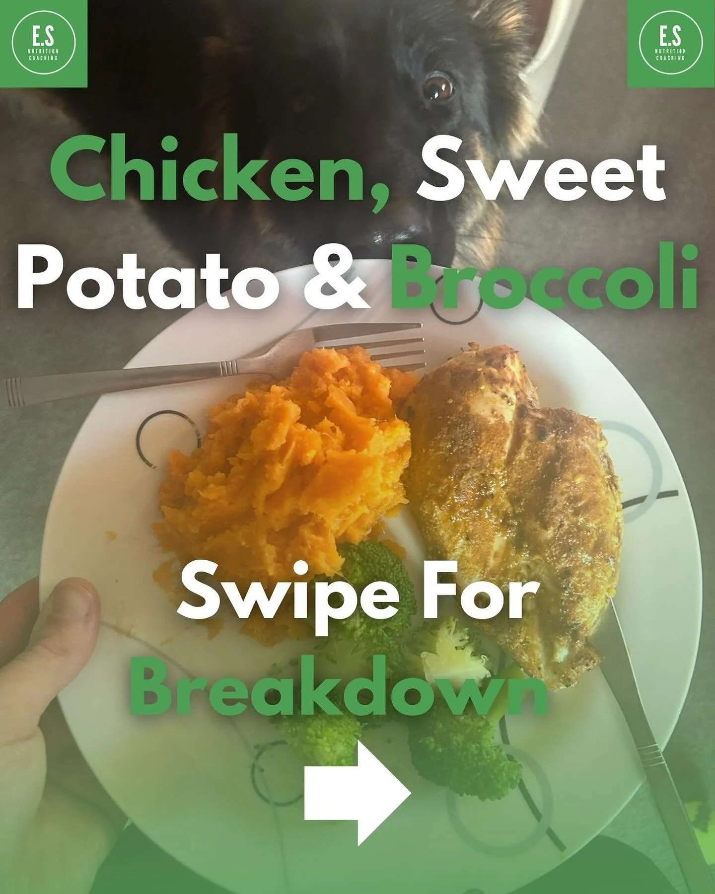 🚨NEW SERIES ALERT!🚨

Welcome to the first post of our MEAL BREAKDOWN SERIES, where we dive deep into the ingredients, benefits, and nutritional power of the foods we love! 🥗💪

At ES Nutrition Coaching, we believe that knowledge is key to fueling 