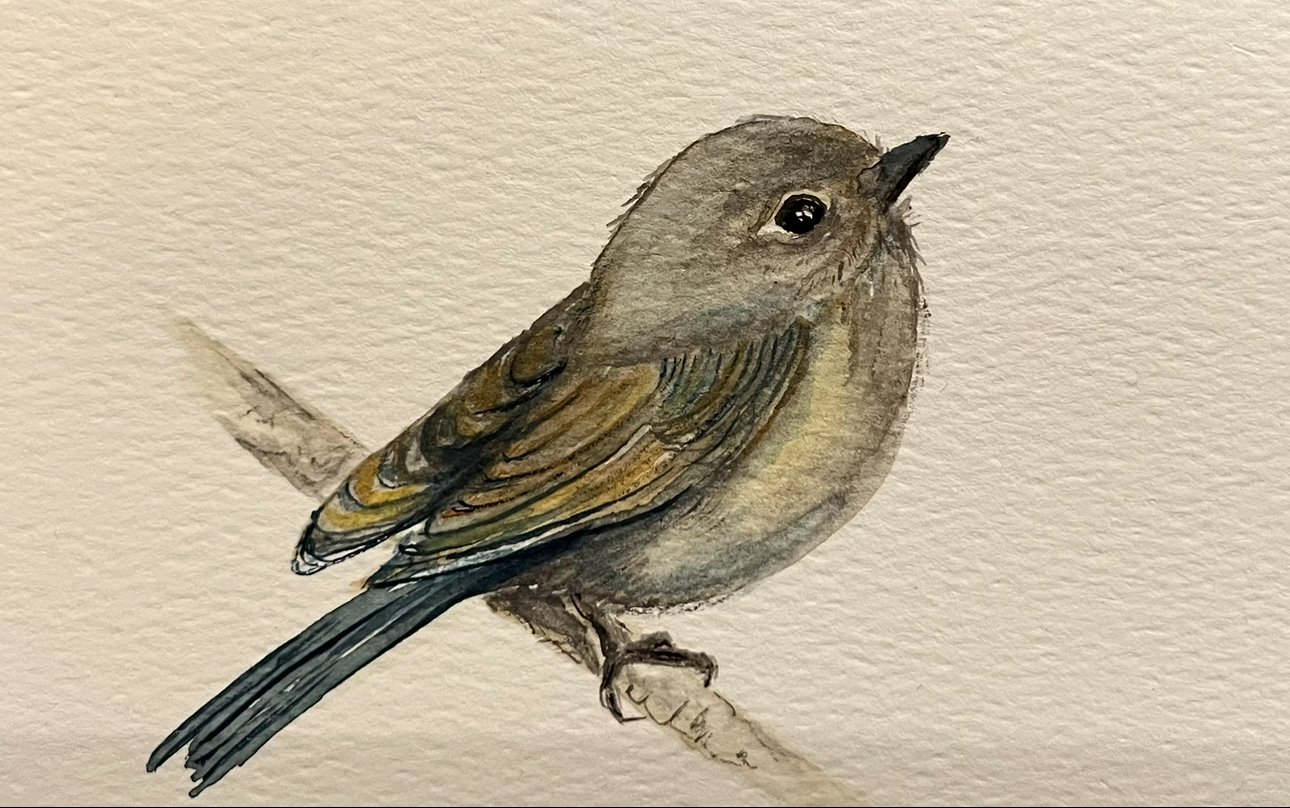 Songbird