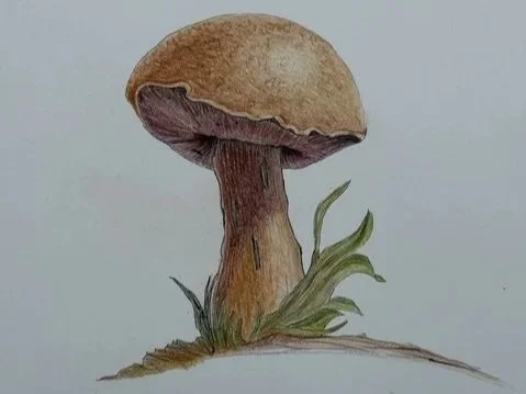 Mizpah
