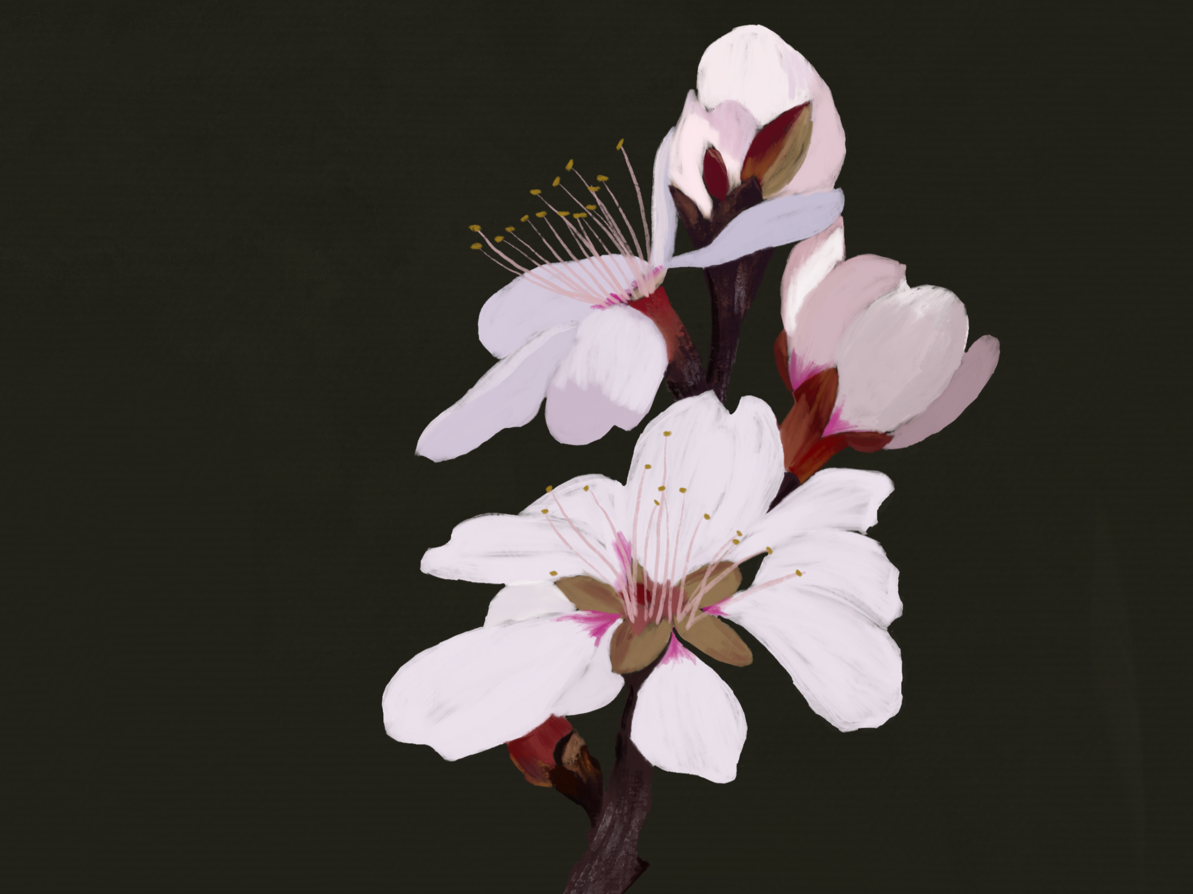4 Poems on Living