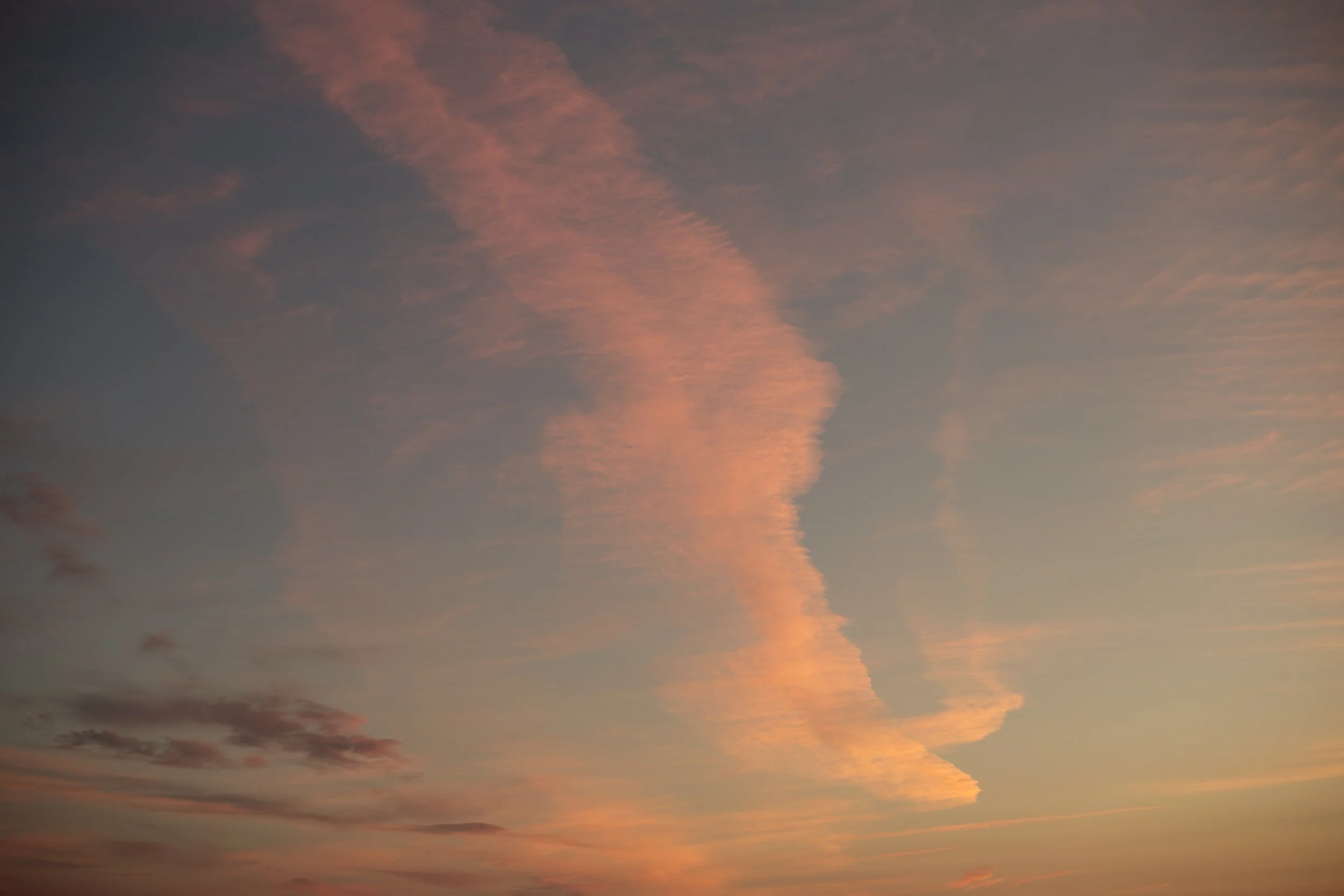 _33A0214.jpg