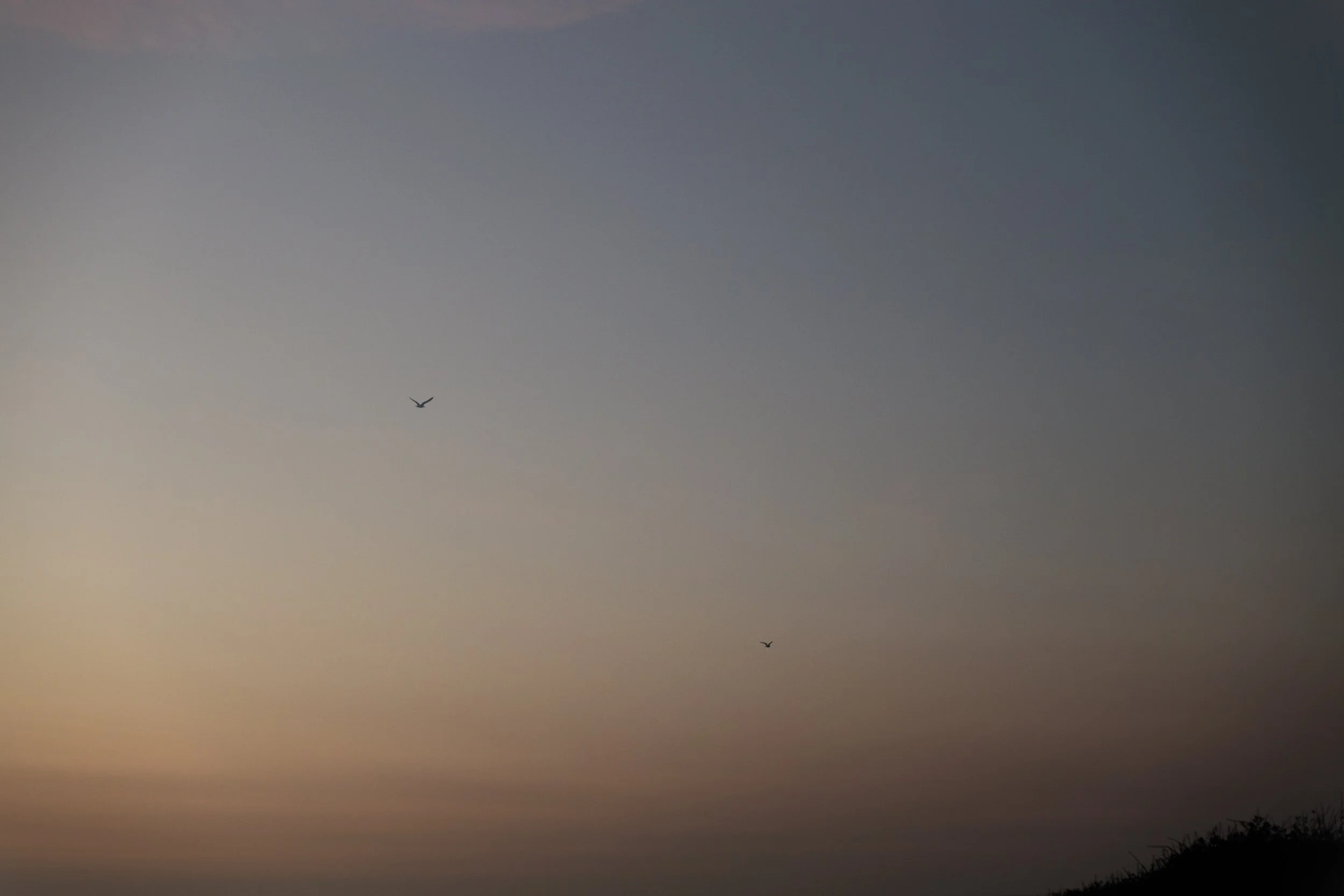 _33A0220.jpg