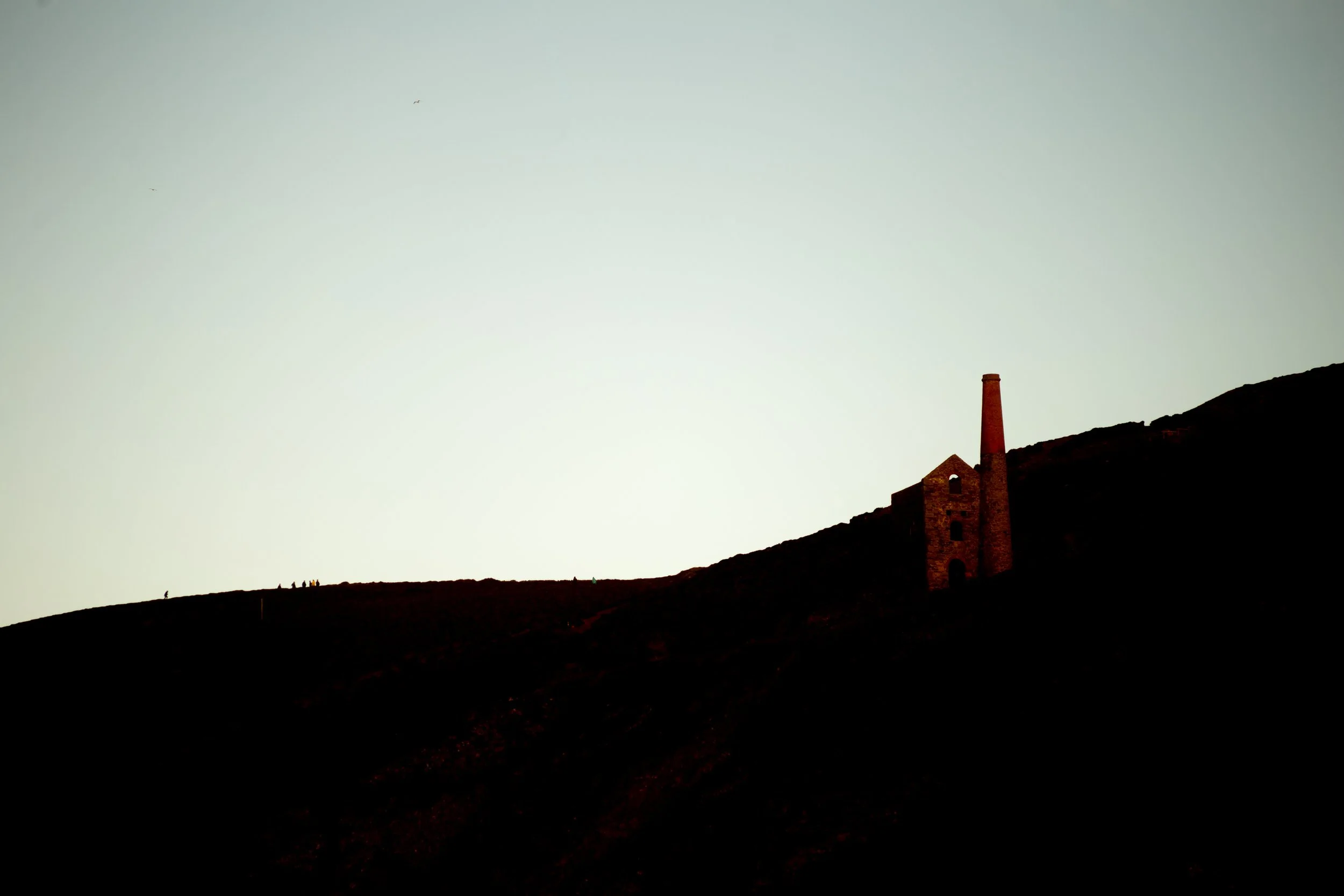 _MG_6512.jpg