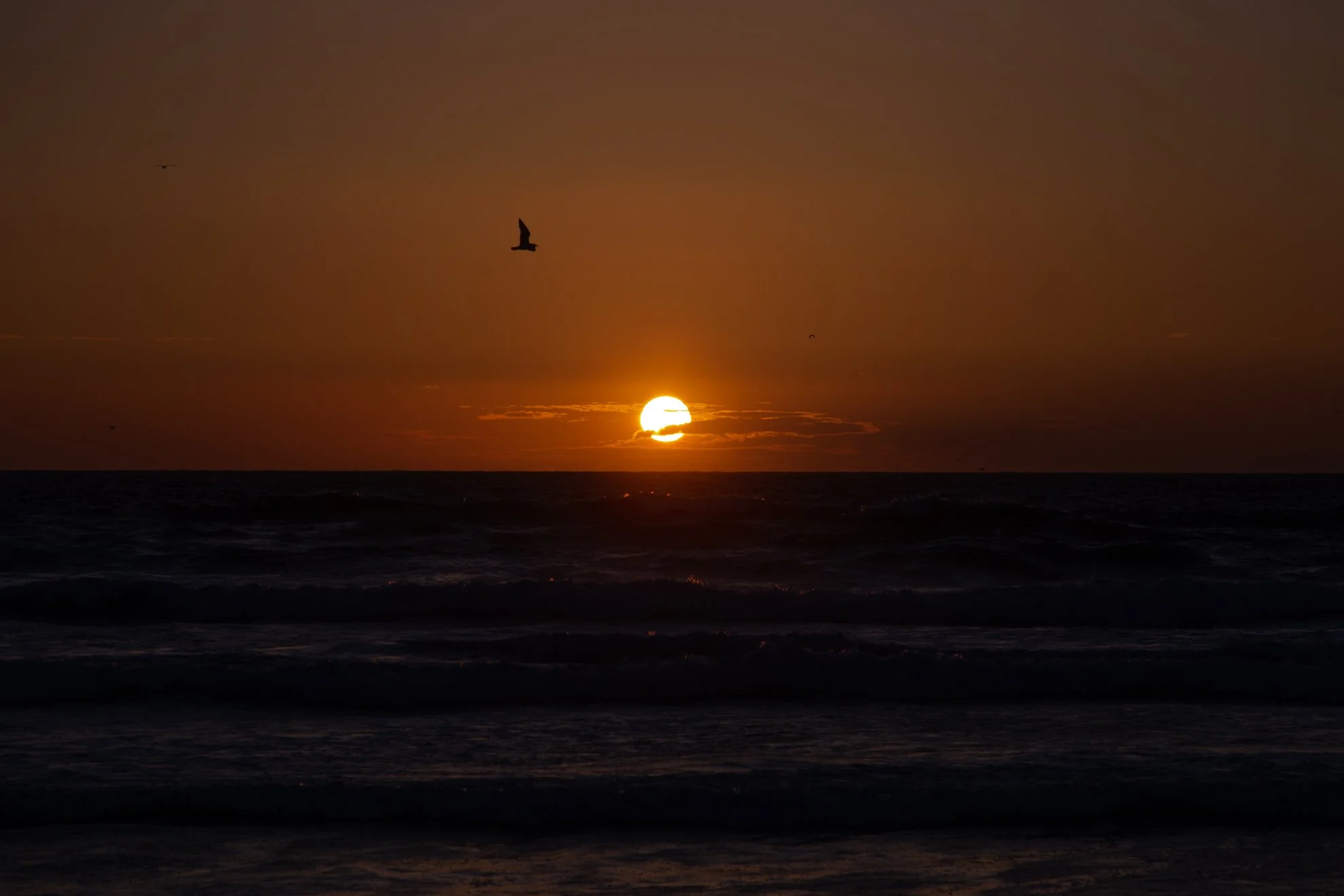 _MG_3248.jpg