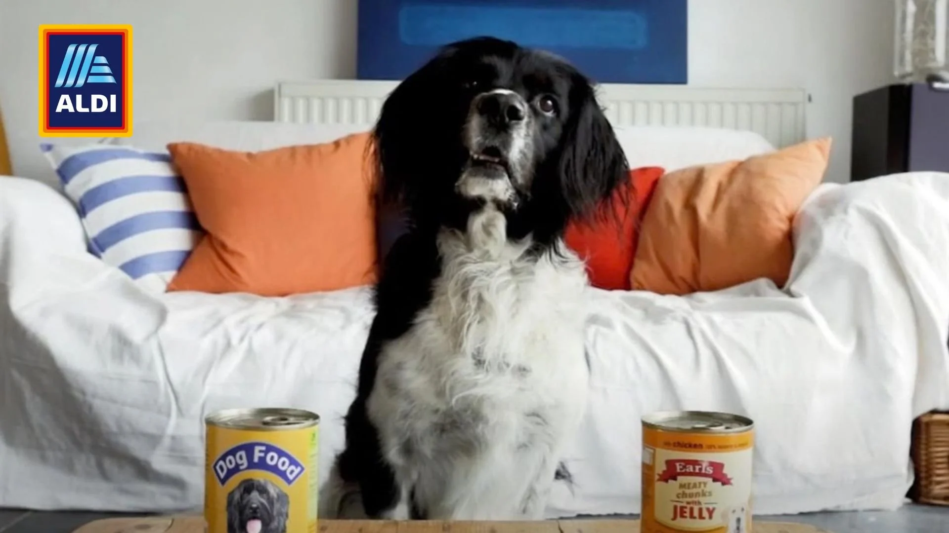 Arfa-the-dog-Aldi-Commercial