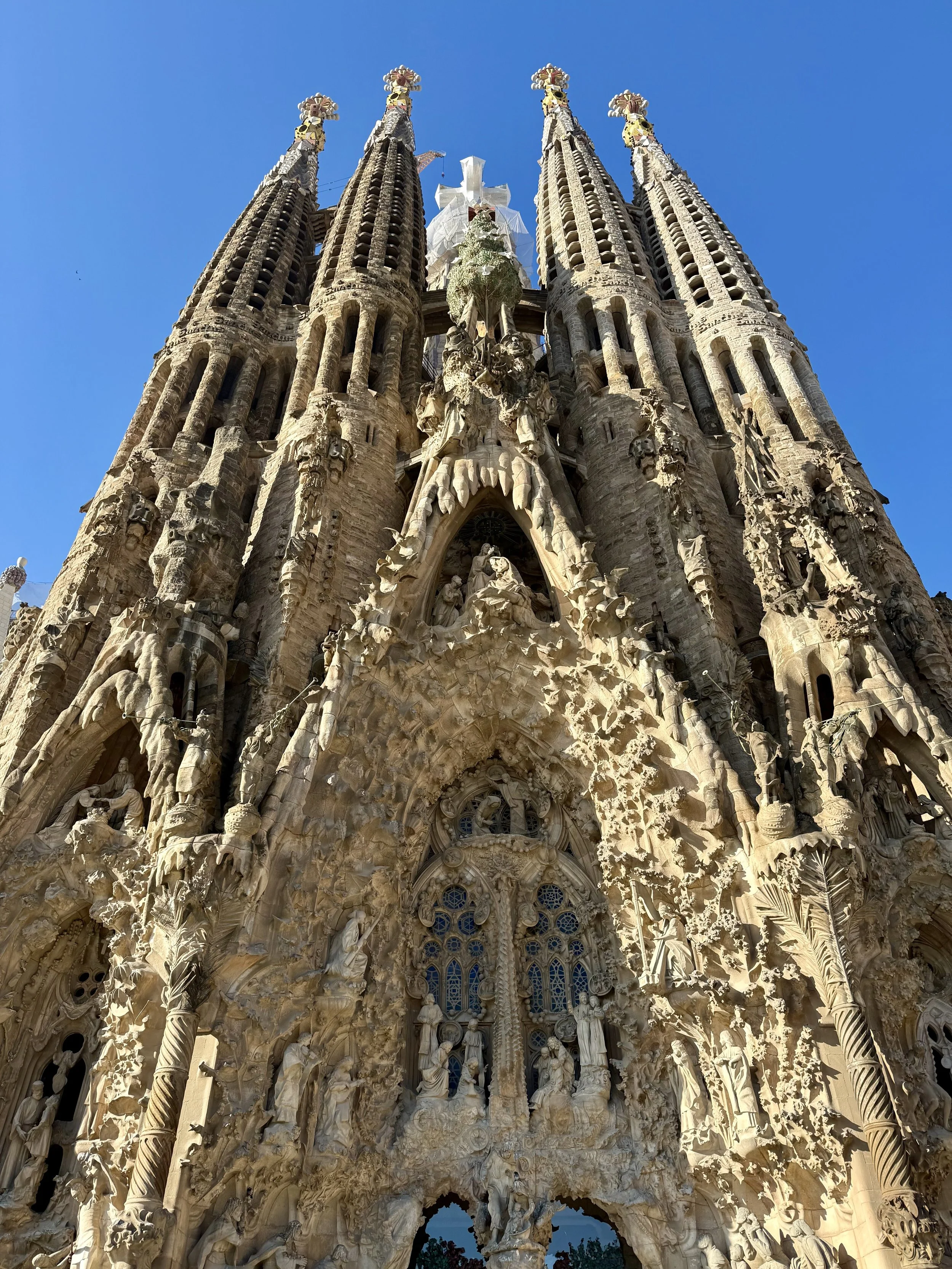 Sagrada Família interior nave with branching stone columns and colored stained glass light