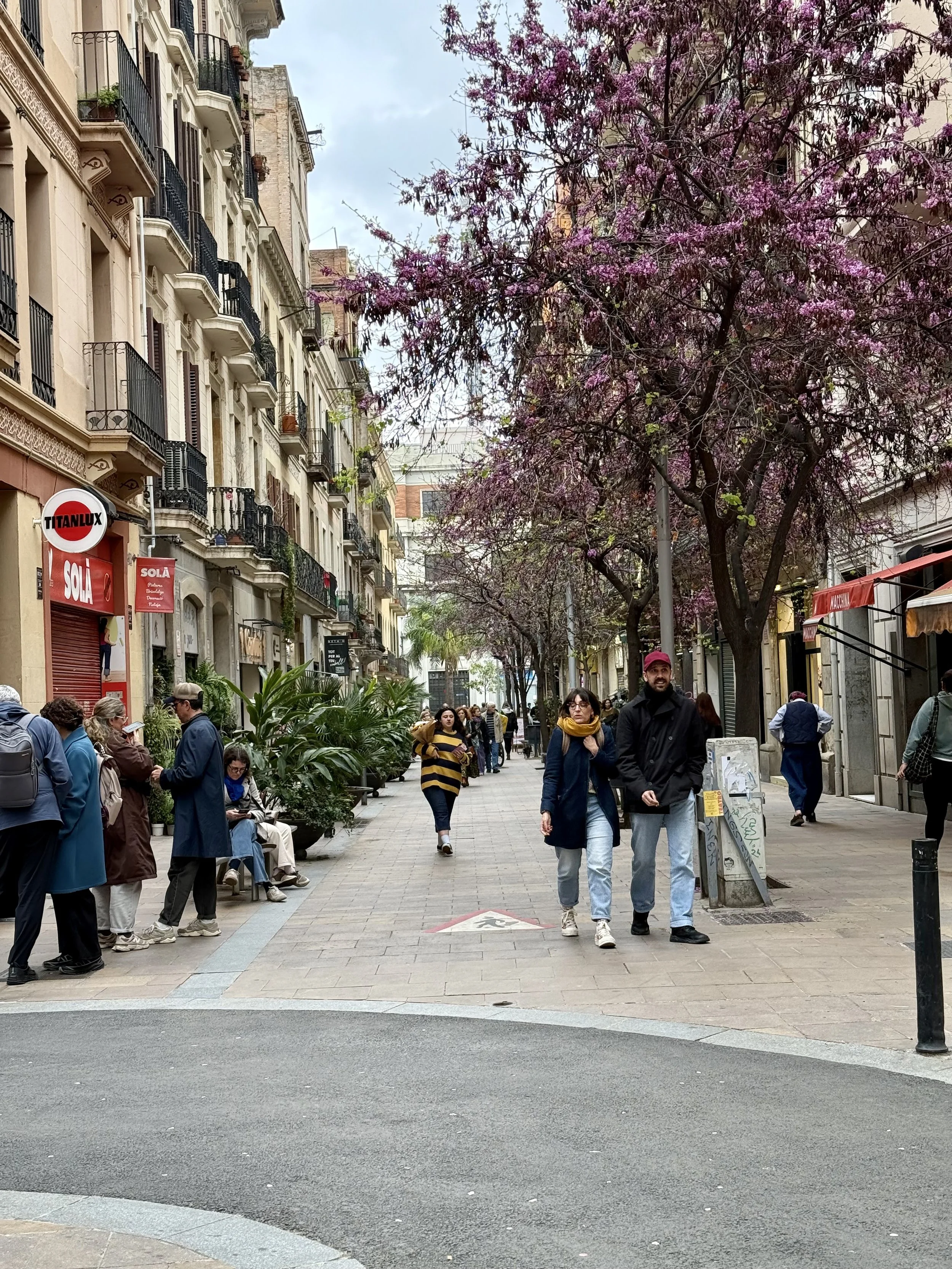 People walking on Barcelona street lined with pink cherry blossom trees