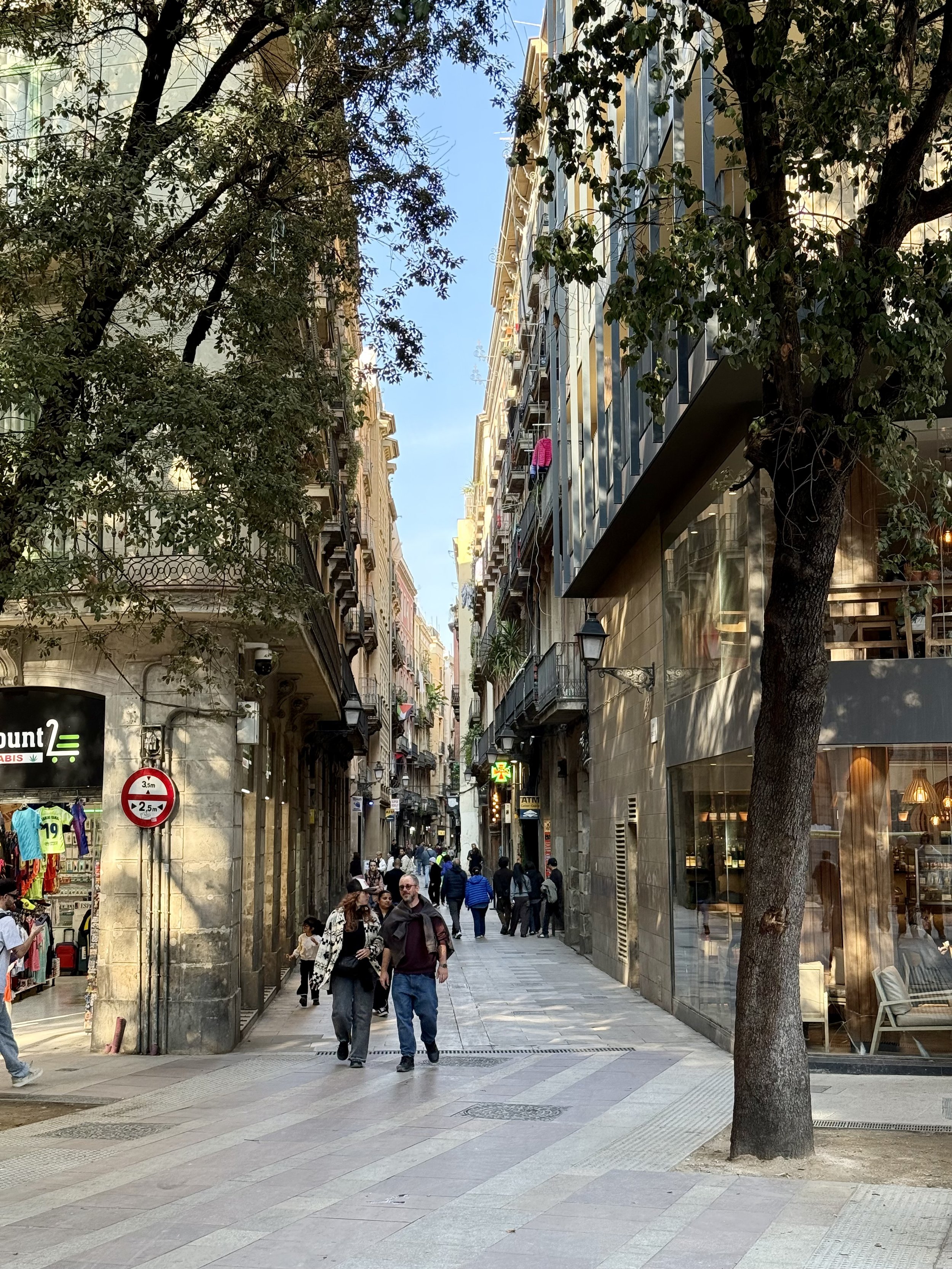 Two people browsing an outdoor flower and plant stall on wide boulevard