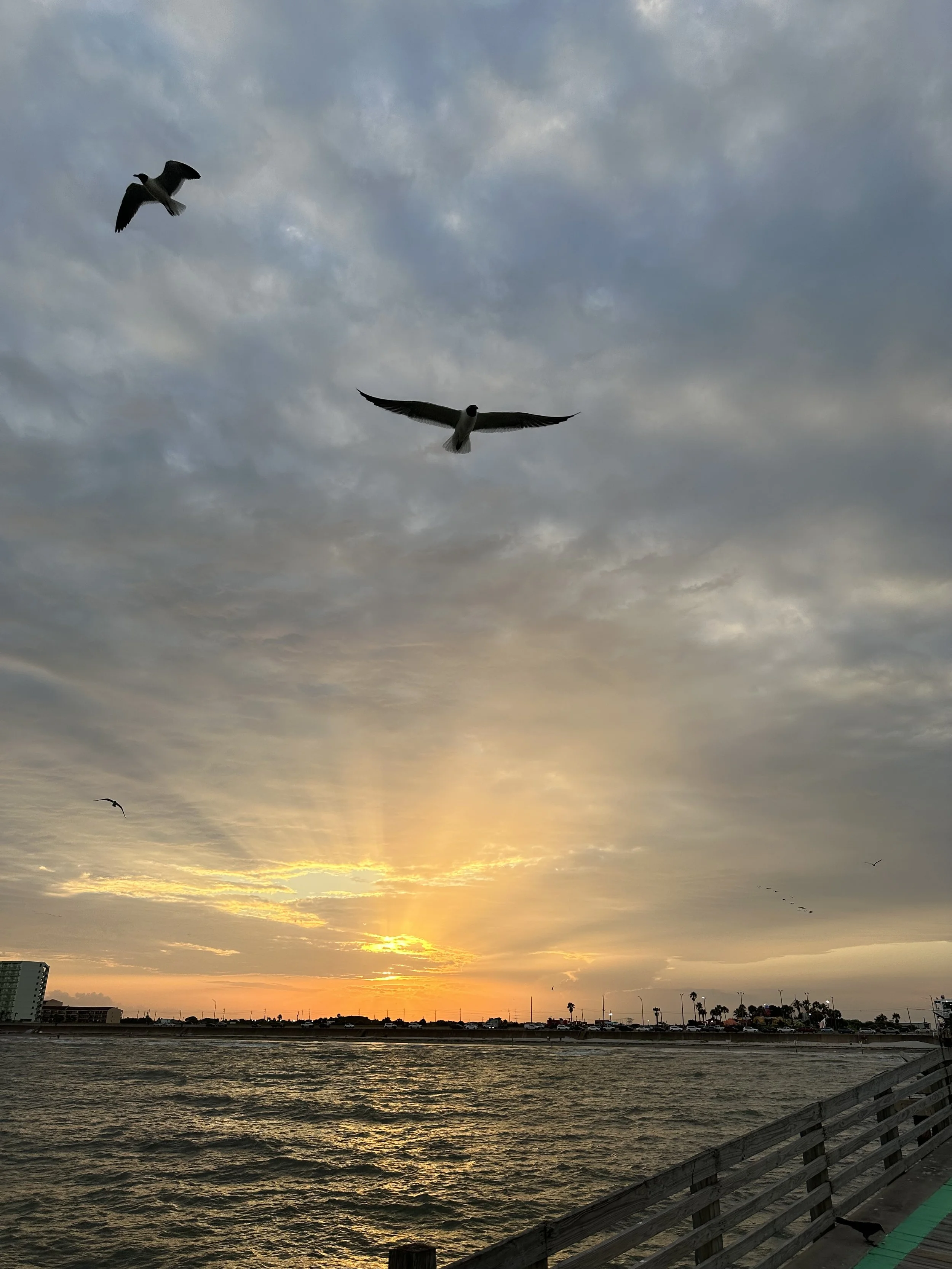 Galveston 2025_3.jpeg