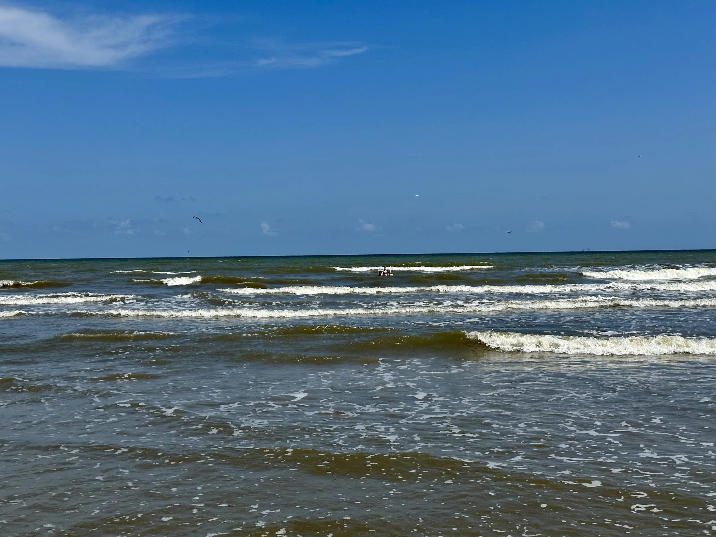 Galveston 2025_5.jpeg