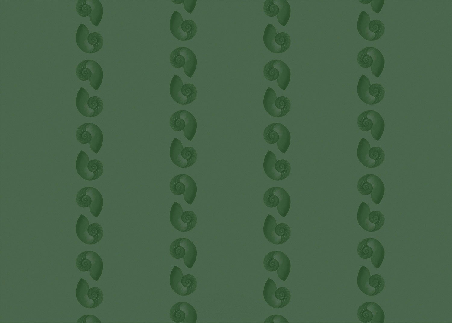 NAUTILUS STRIPE VERDE