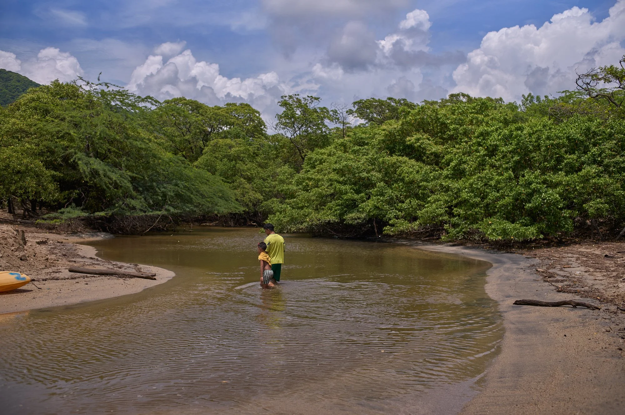 MANGROVE WALK