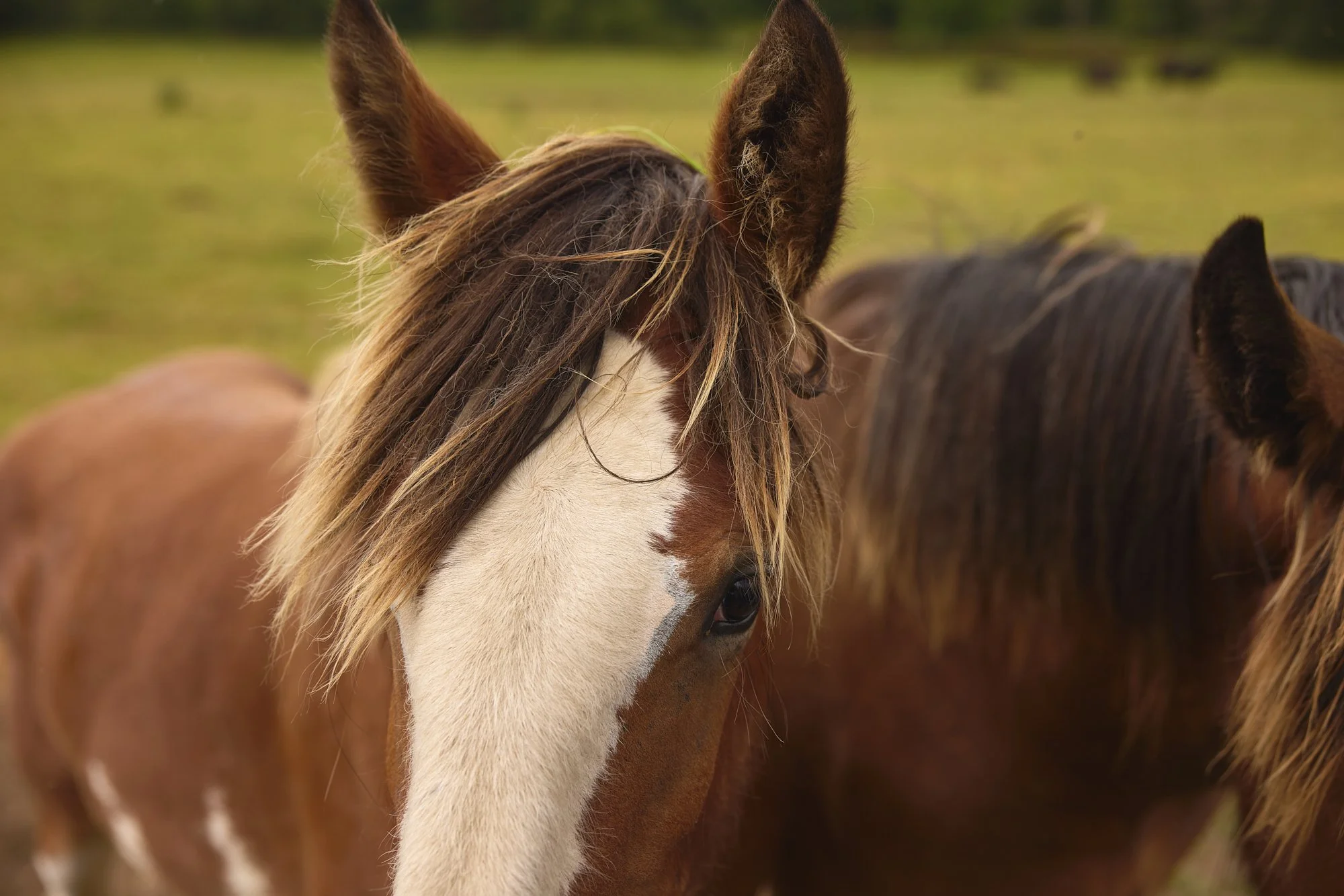FORELOCK FALLING OVER EYE