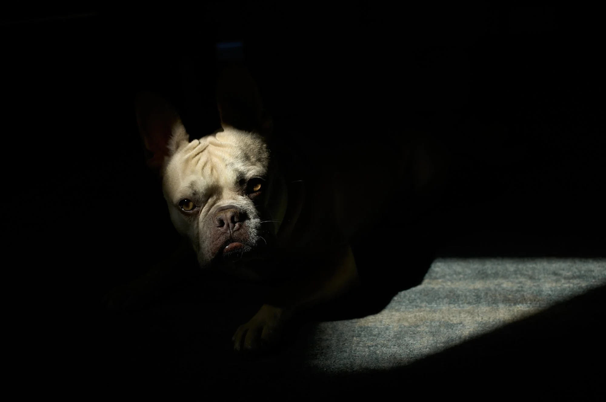 PEEKING FROM THE DARK