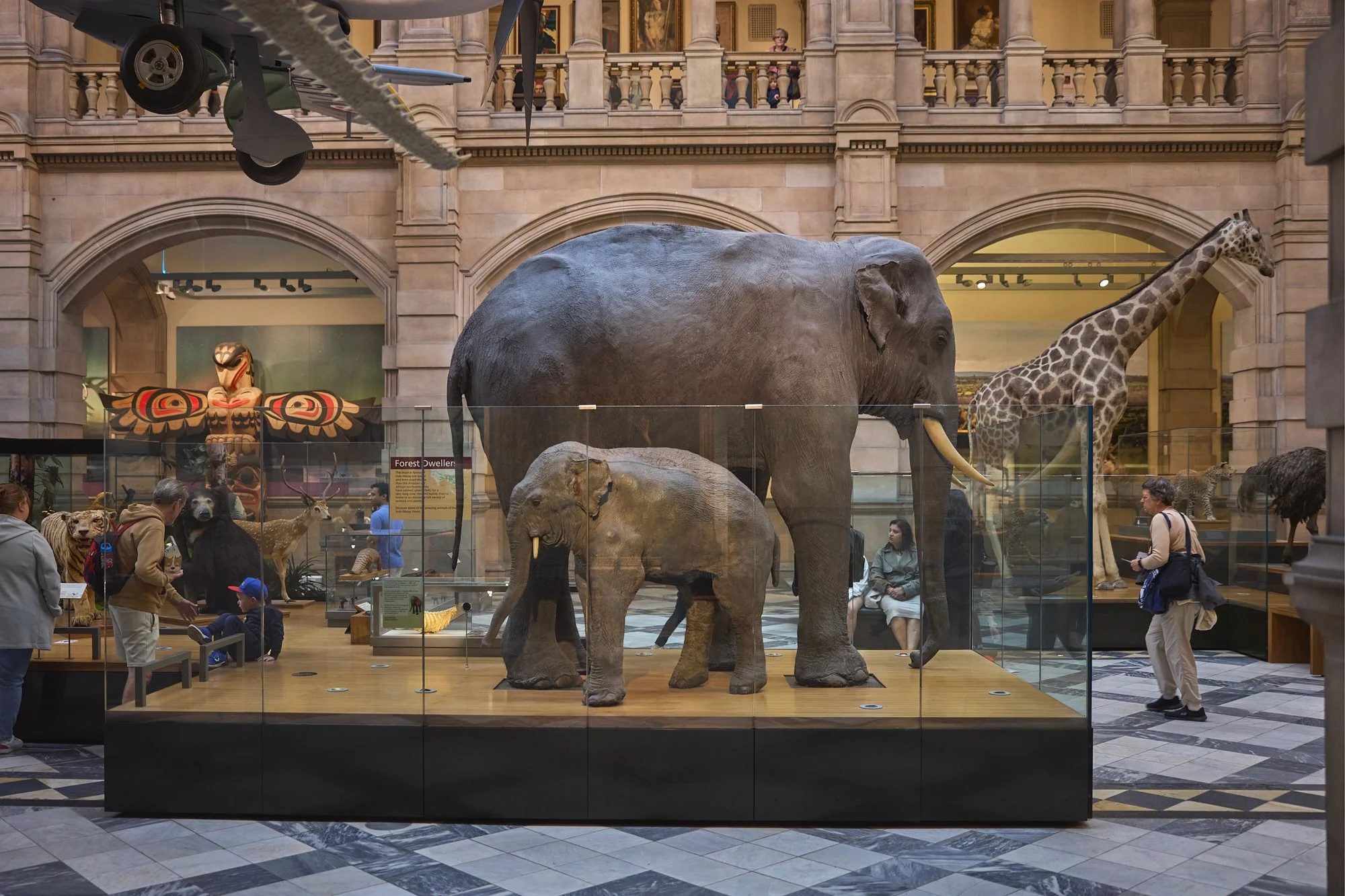 ELEPHANTS IN THE GREAT HALL