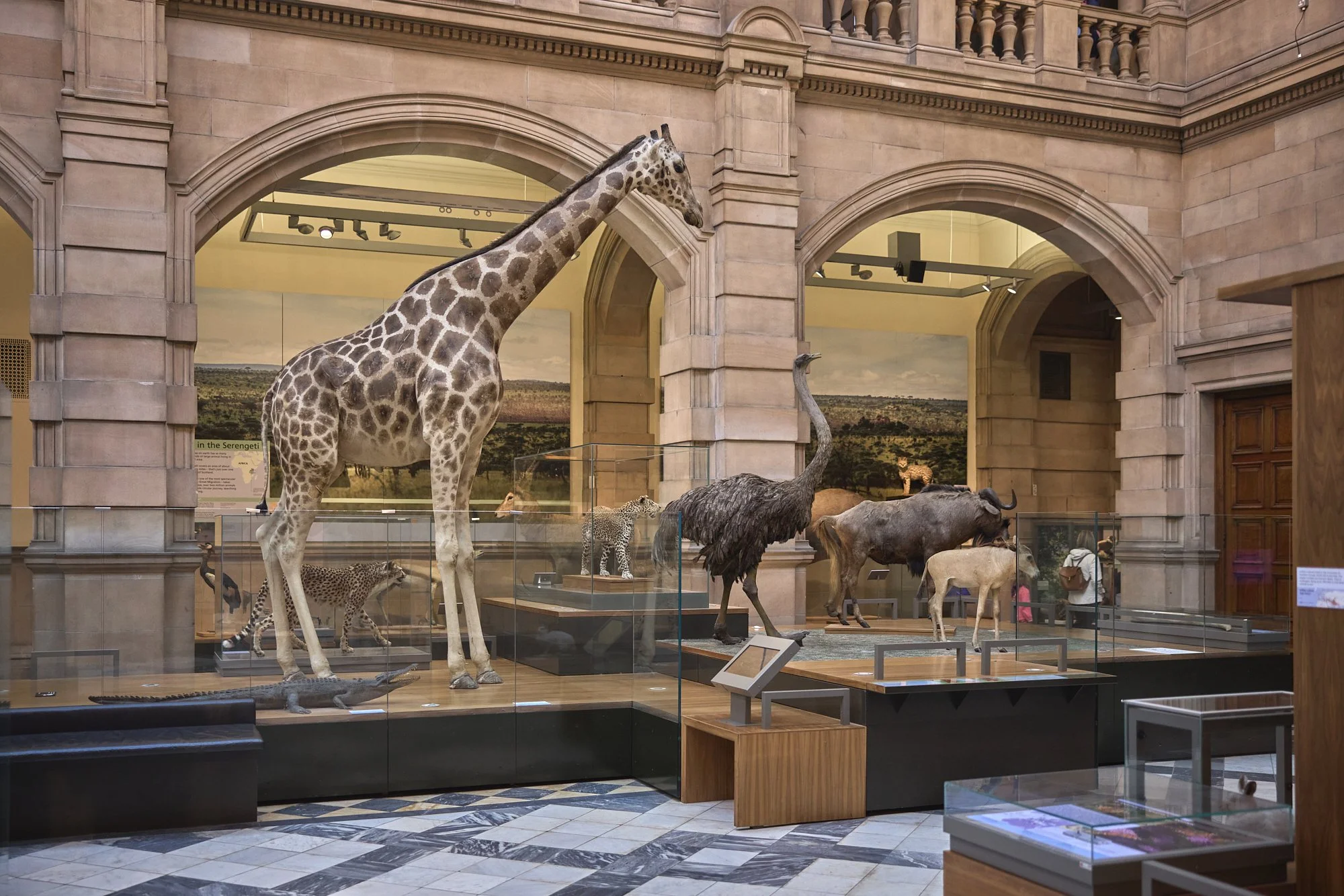 GIRAFFE IN THE GREAT HALL