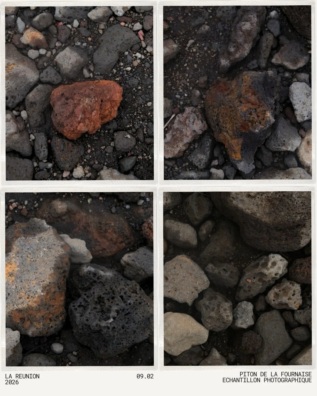 Terre volcanique, m&eacute;moire vivante.
Roches de basalte, cristaux d&rsquo;olivine et autres.

La R&eacute;union, 2026