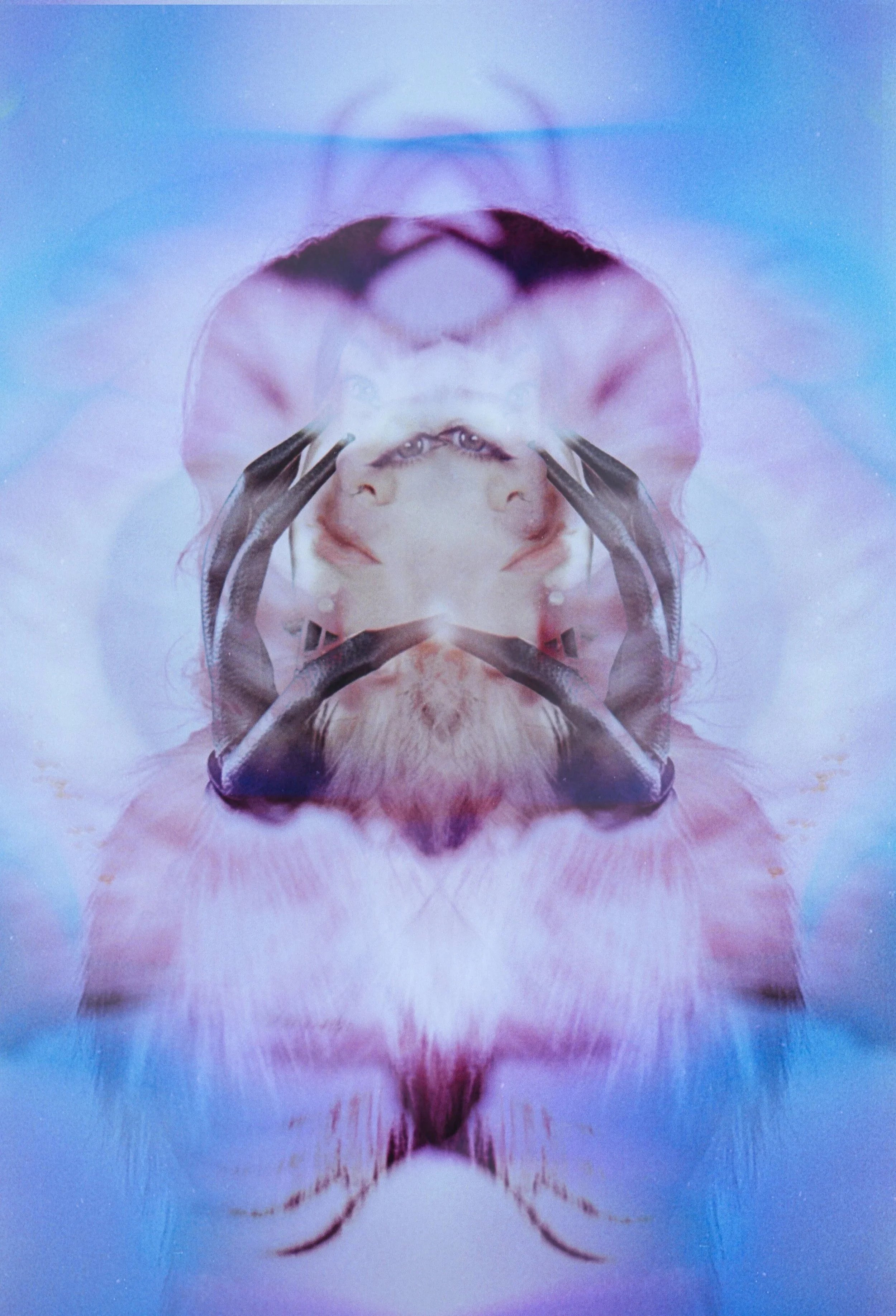 Symmetrical mirrored image of a face in purple and blue chemical tones. Acidic Mutations by Hartenjager.